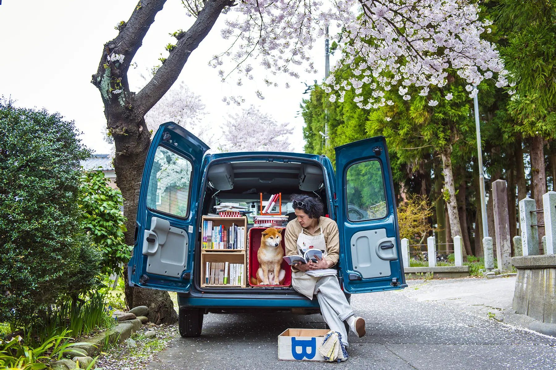 A man and a dog sitting in a van with open doors. The packed van is standing under cherry blossoms, and the man is sowing the dog a book.