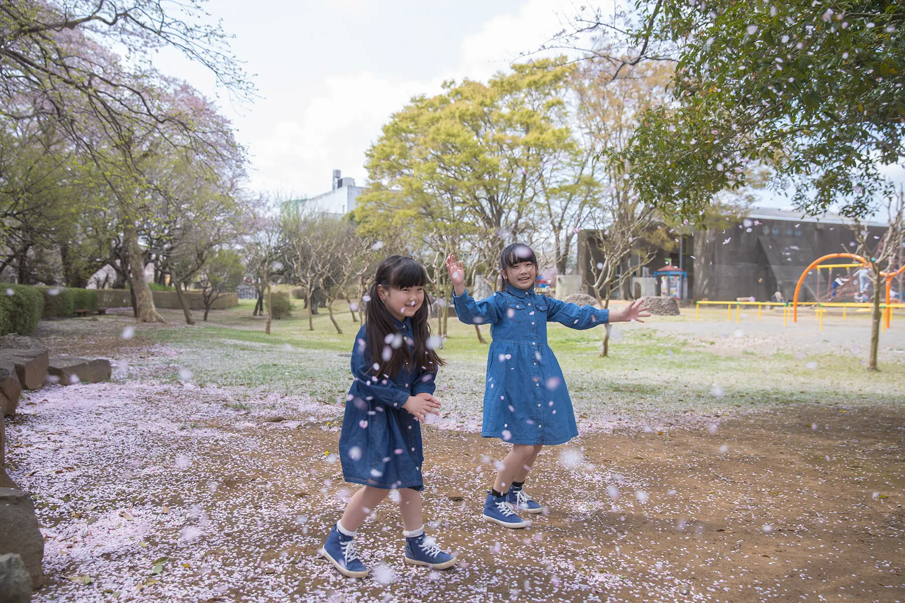 Little girls playing with cherry blossoms in a park