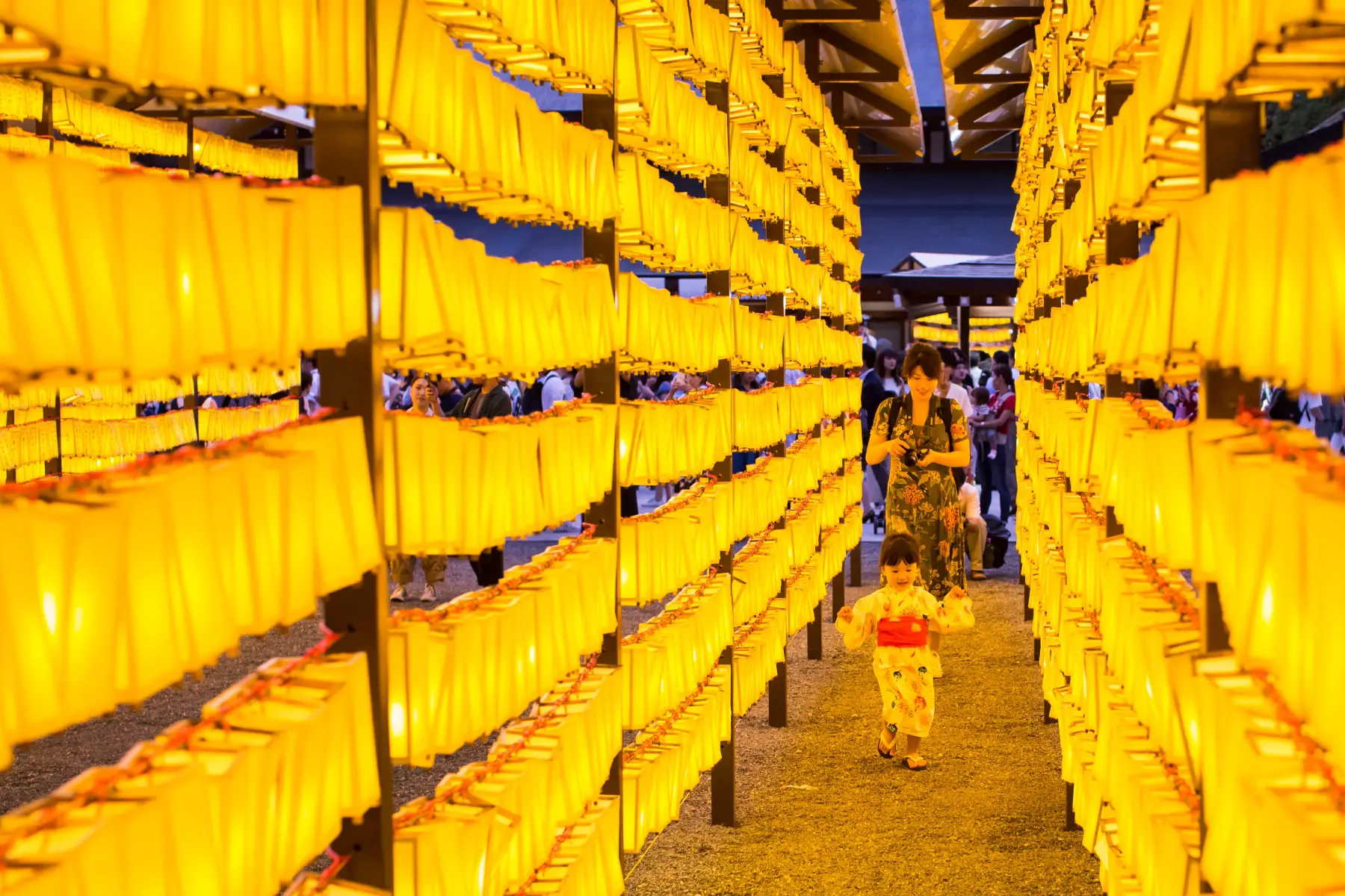 Mother takes photo of her daughter in the Yasukuni Shrine at the Mitama Festival. Everything is yellow.