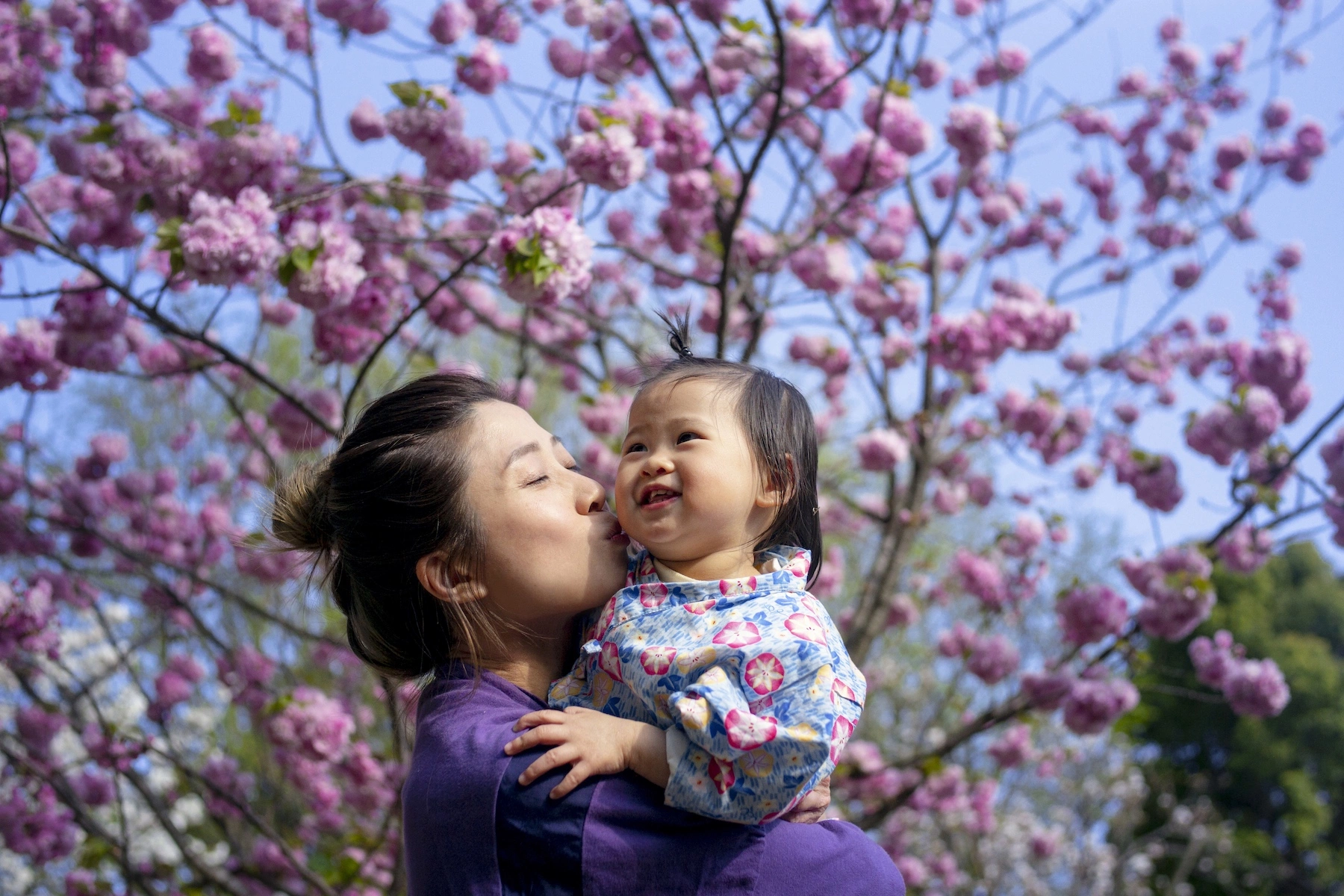 A mother holds and kisses her baby on the cheek in front of a cherry blossom tree in Tokyo, Japan
