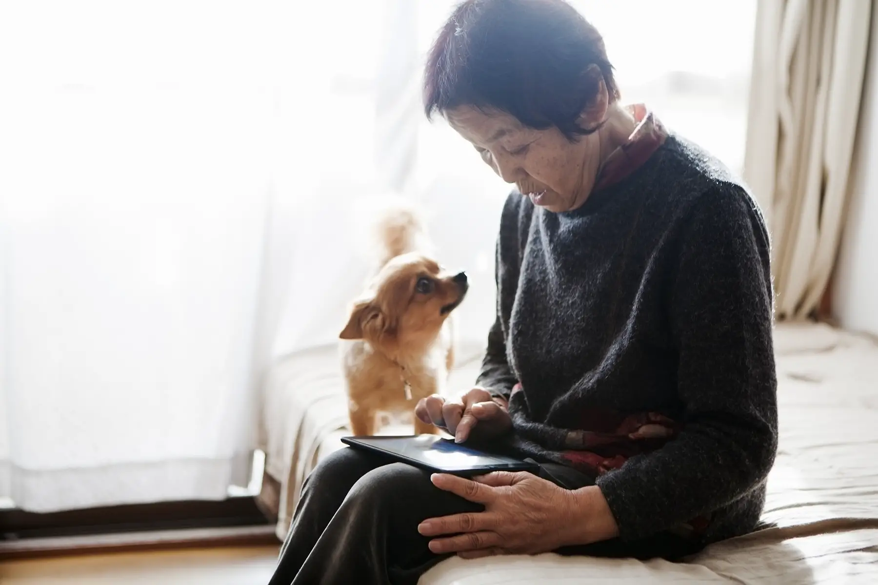 An older woman sits on her bed, typing on a tablet, with her little dog next to her