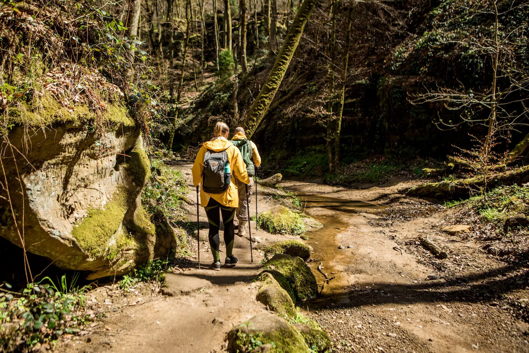 Two hikers walk through the forest in full hiking gear on a sunny day