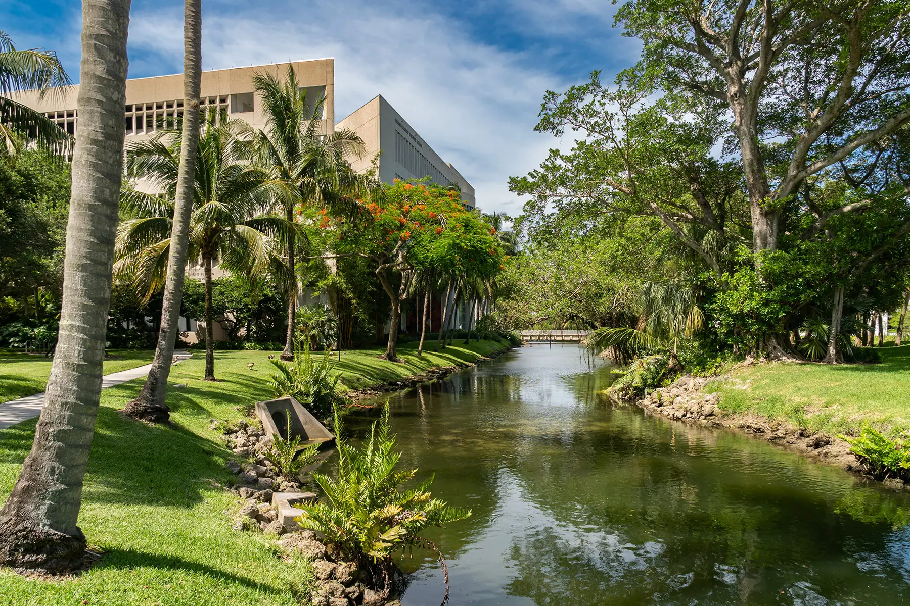 Outside a university building with a lake, greenery, and palm trees