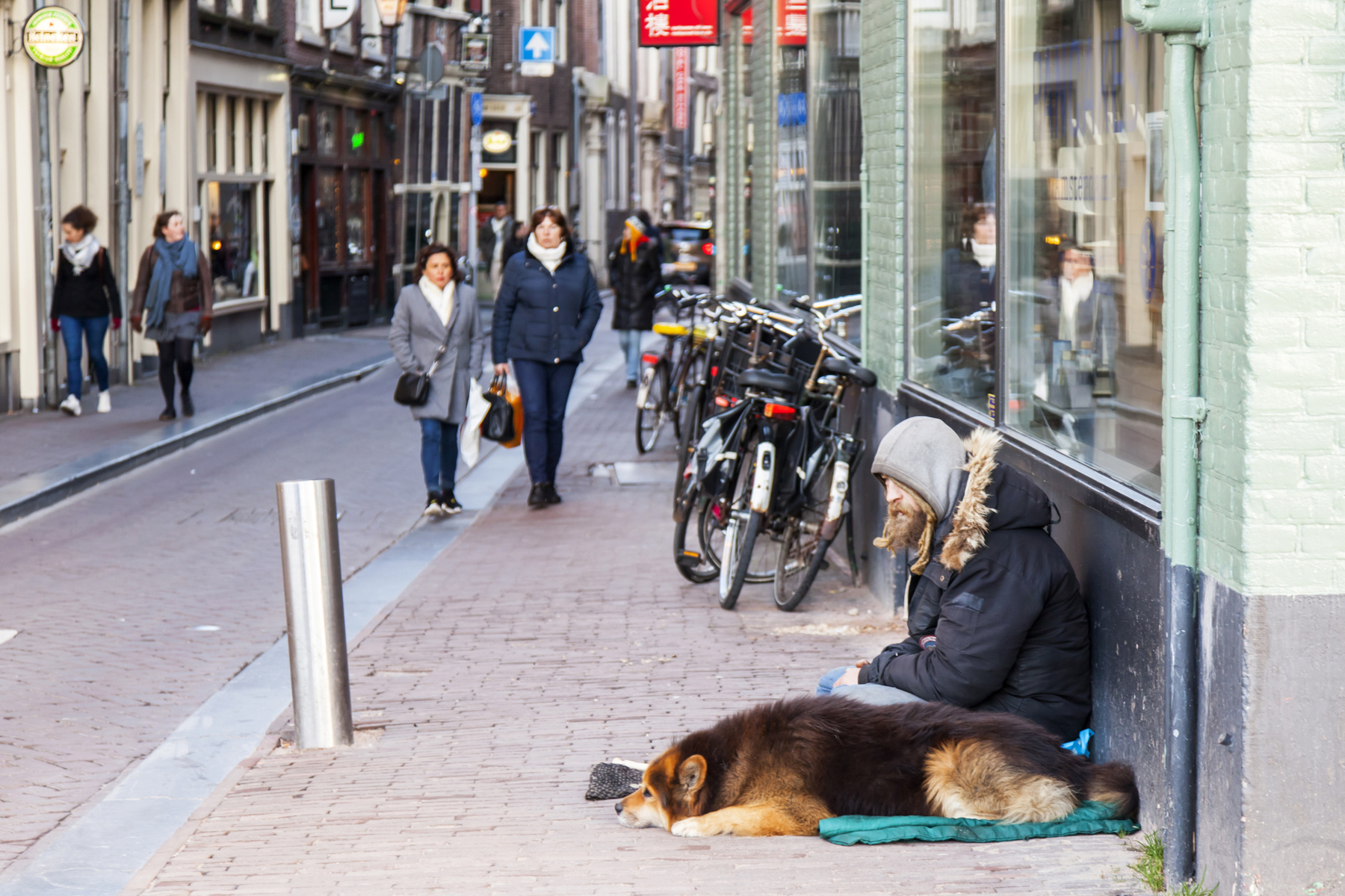 a homeless man with his dog in the street in Amsterdam
