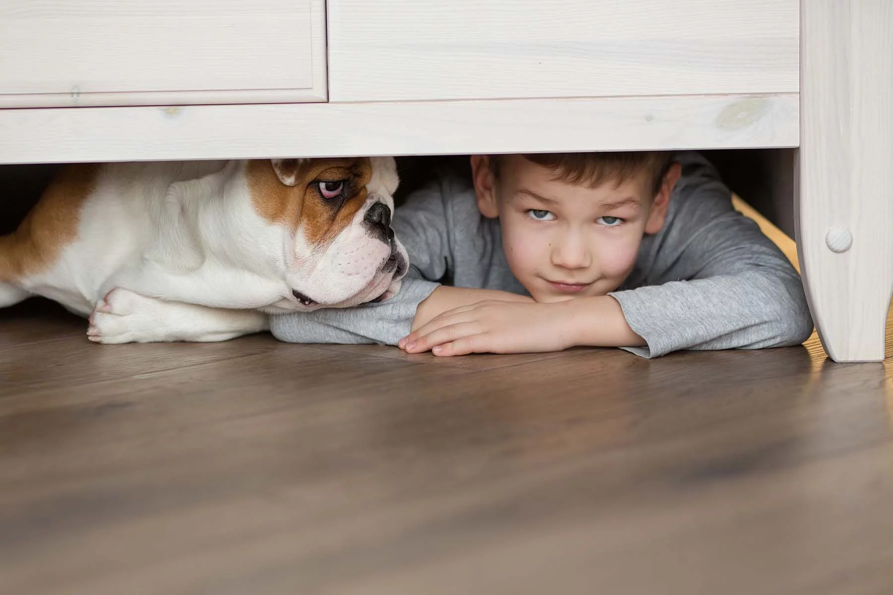 boy and dog hiding under furniture
