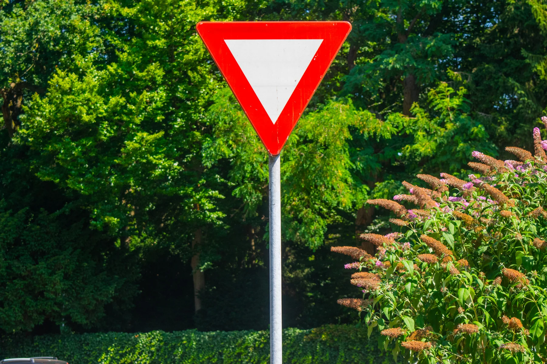 dutch priority traffic sign