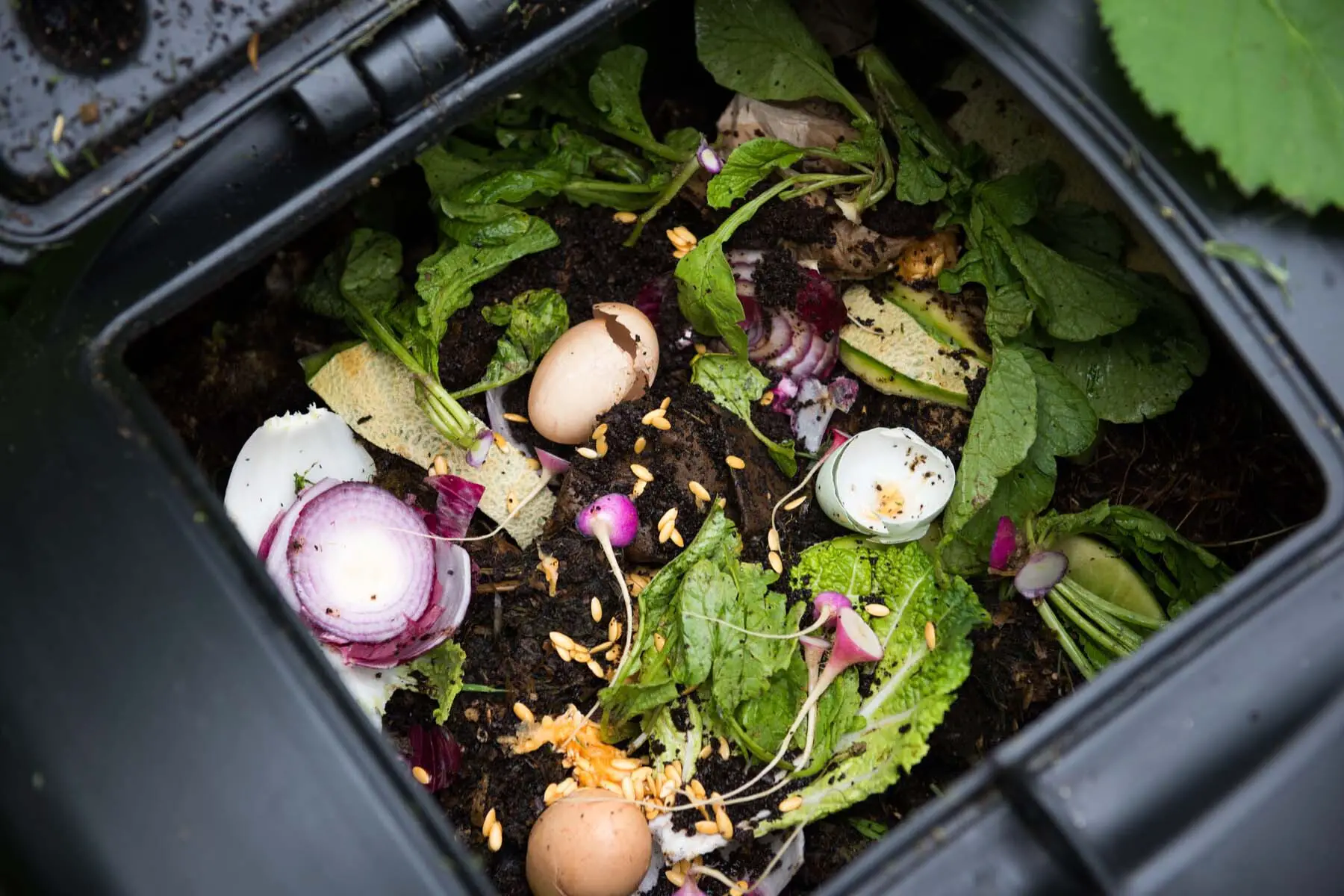 dutch food composting