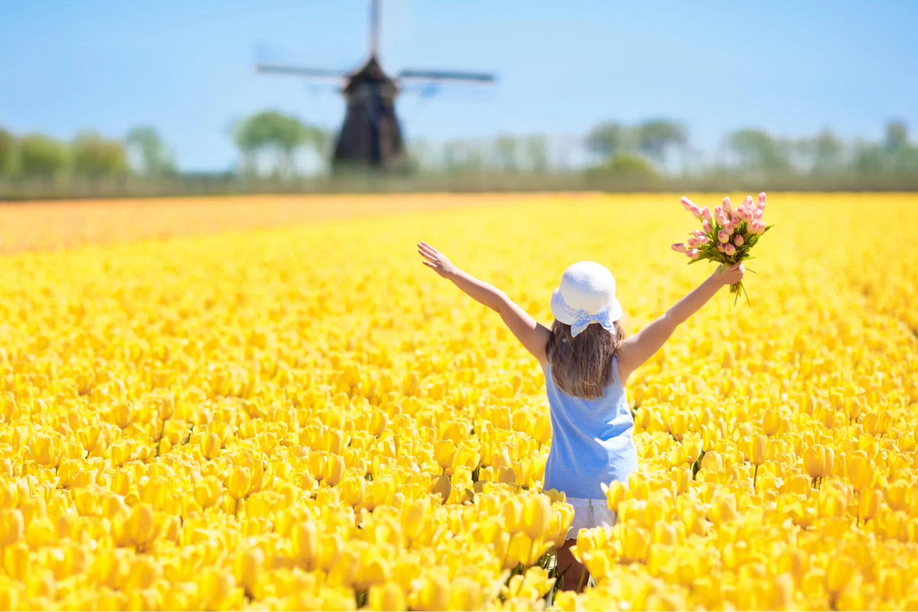 A girl in tulip fields in the Netherlands