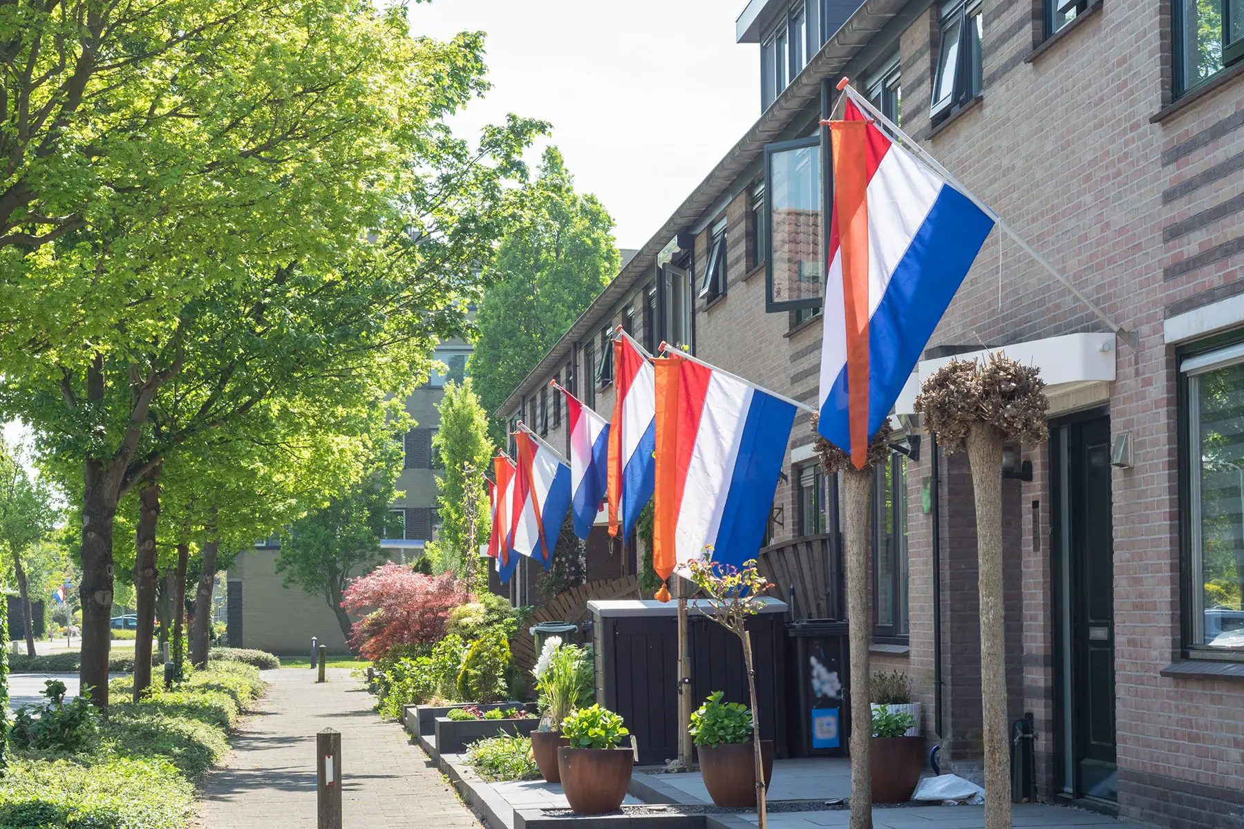 A Dutch street on King's Day