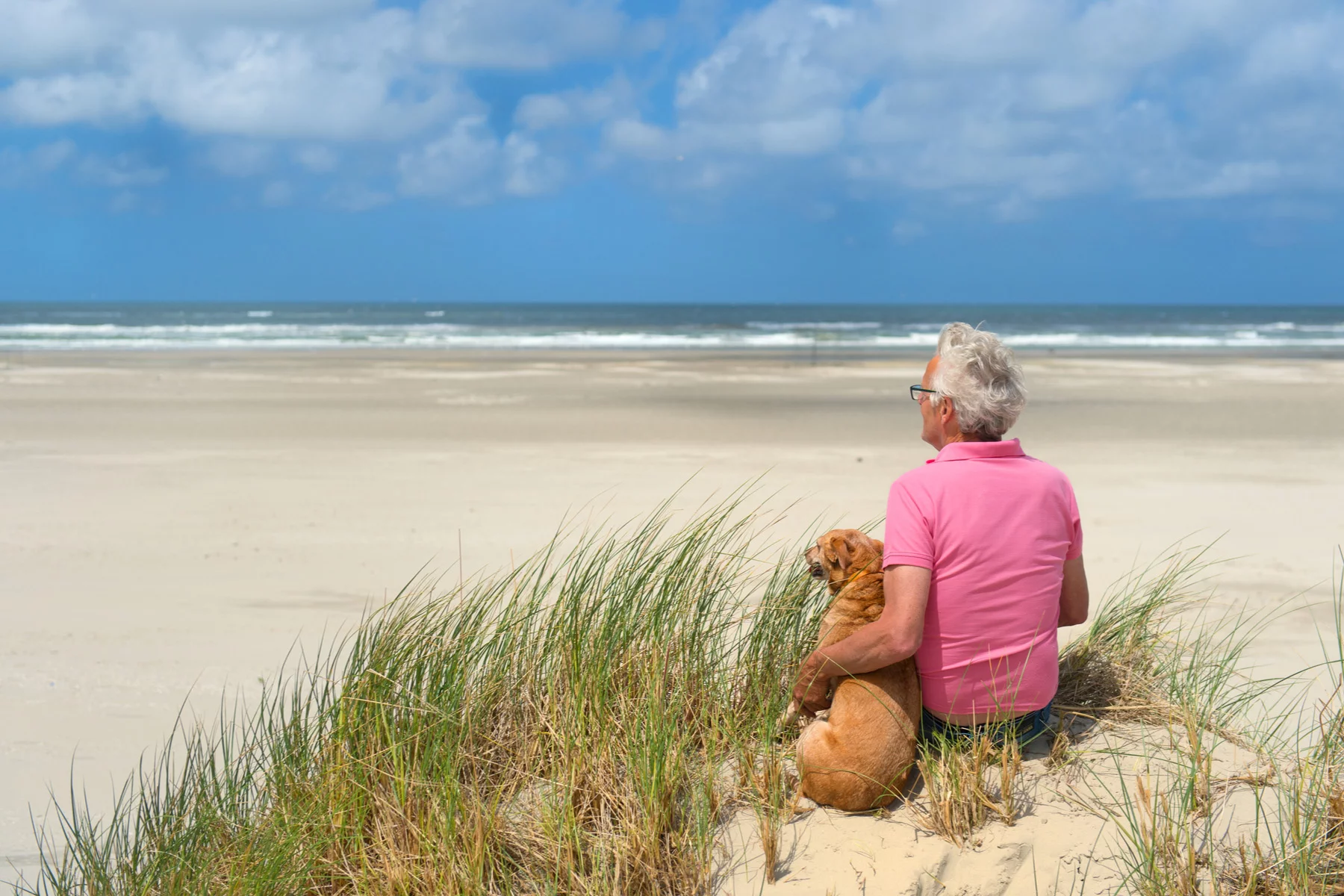 a retired man with his dog at a beach in the Netherlands
