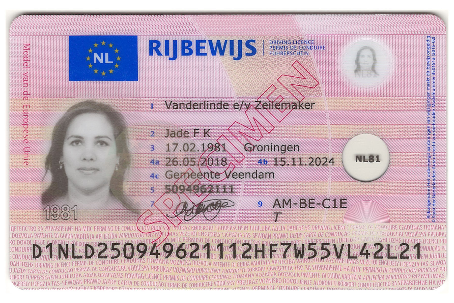 Example of a driving license in the Netherlands