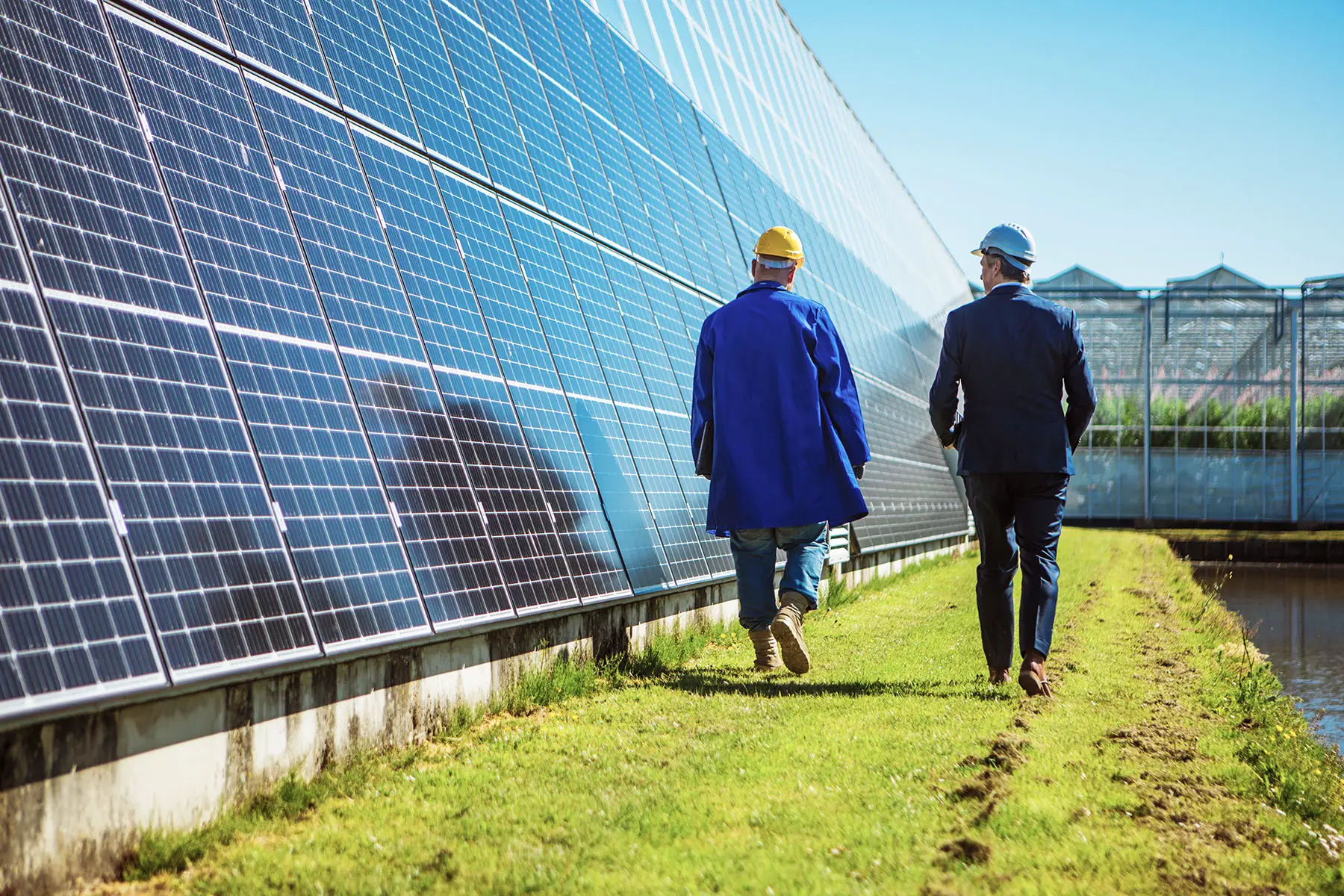 CEO walking with an engineer along a solar panel site.