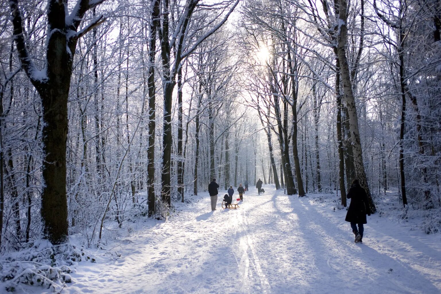 Netherlands winter