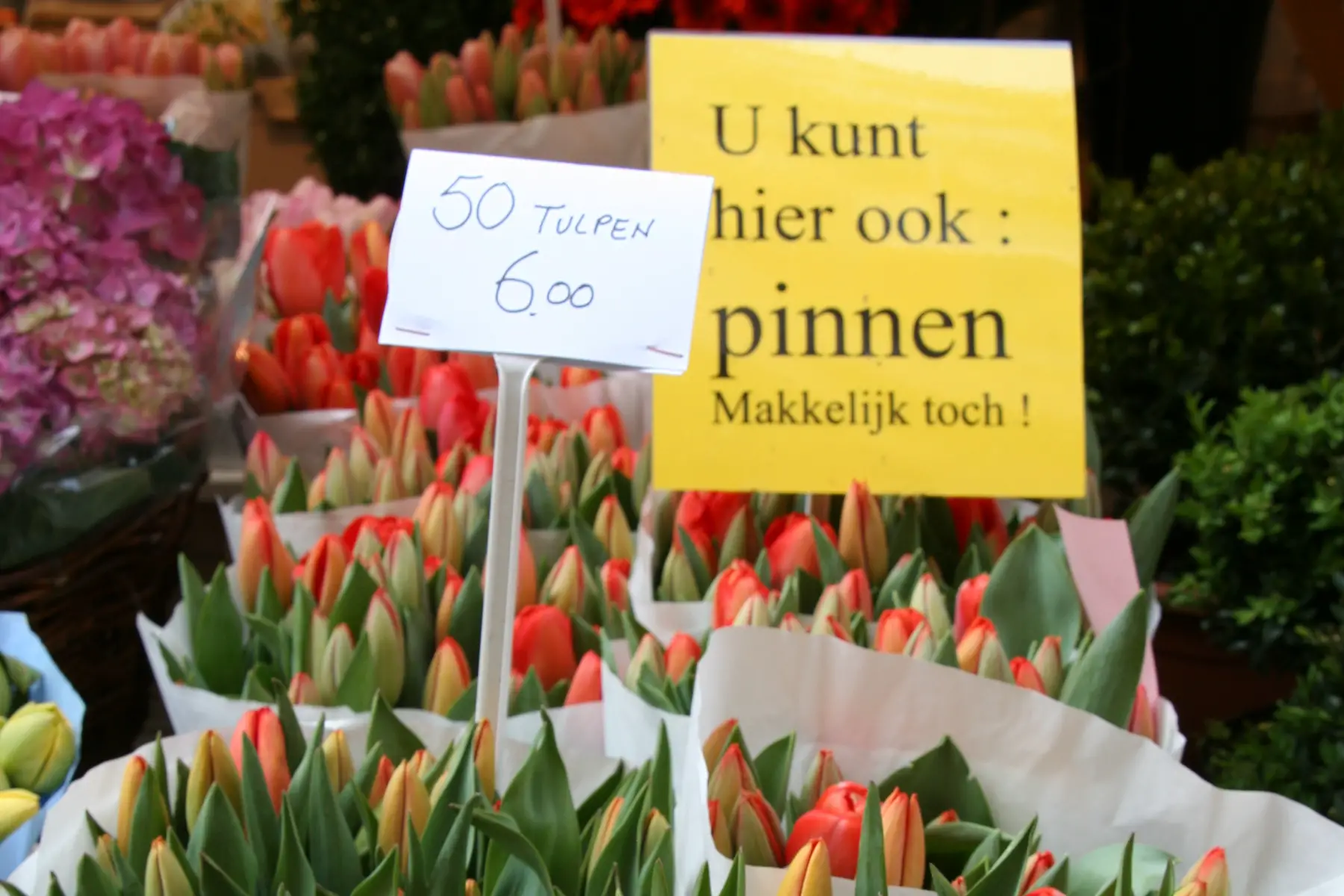 Tulips at a market with the sign 'U kunt ook : pinnen
Makkelijk toch !'
Funny Dutch sign with what looks like rude words