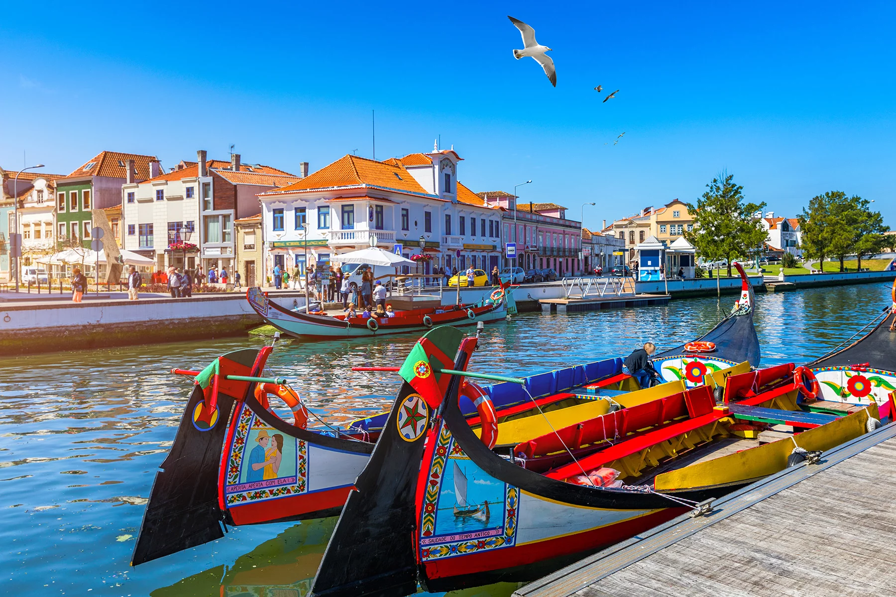 colorful gondolas lined up on the main canal in Aveiro in Portugal