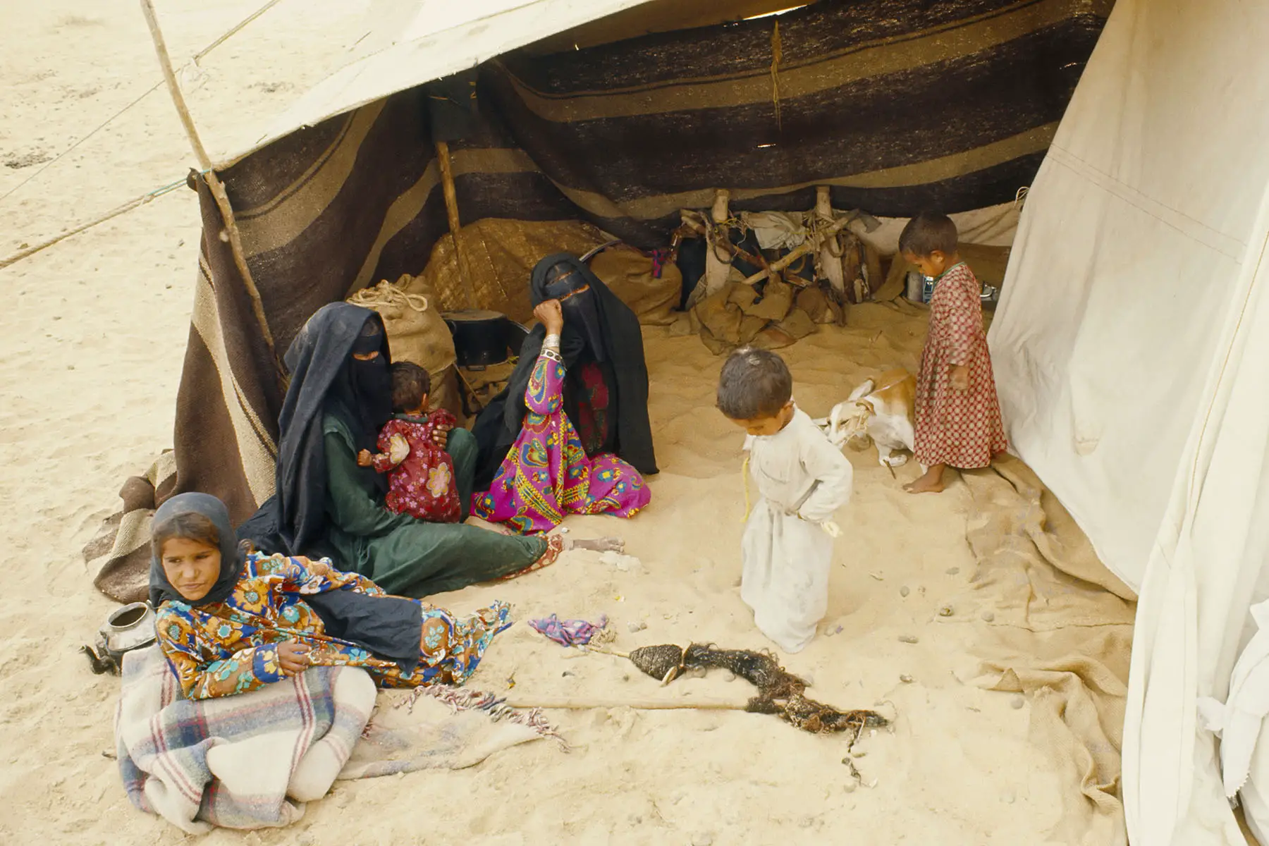 Nomadic Bedouin veiled women and children sitting in entrance of a tent.