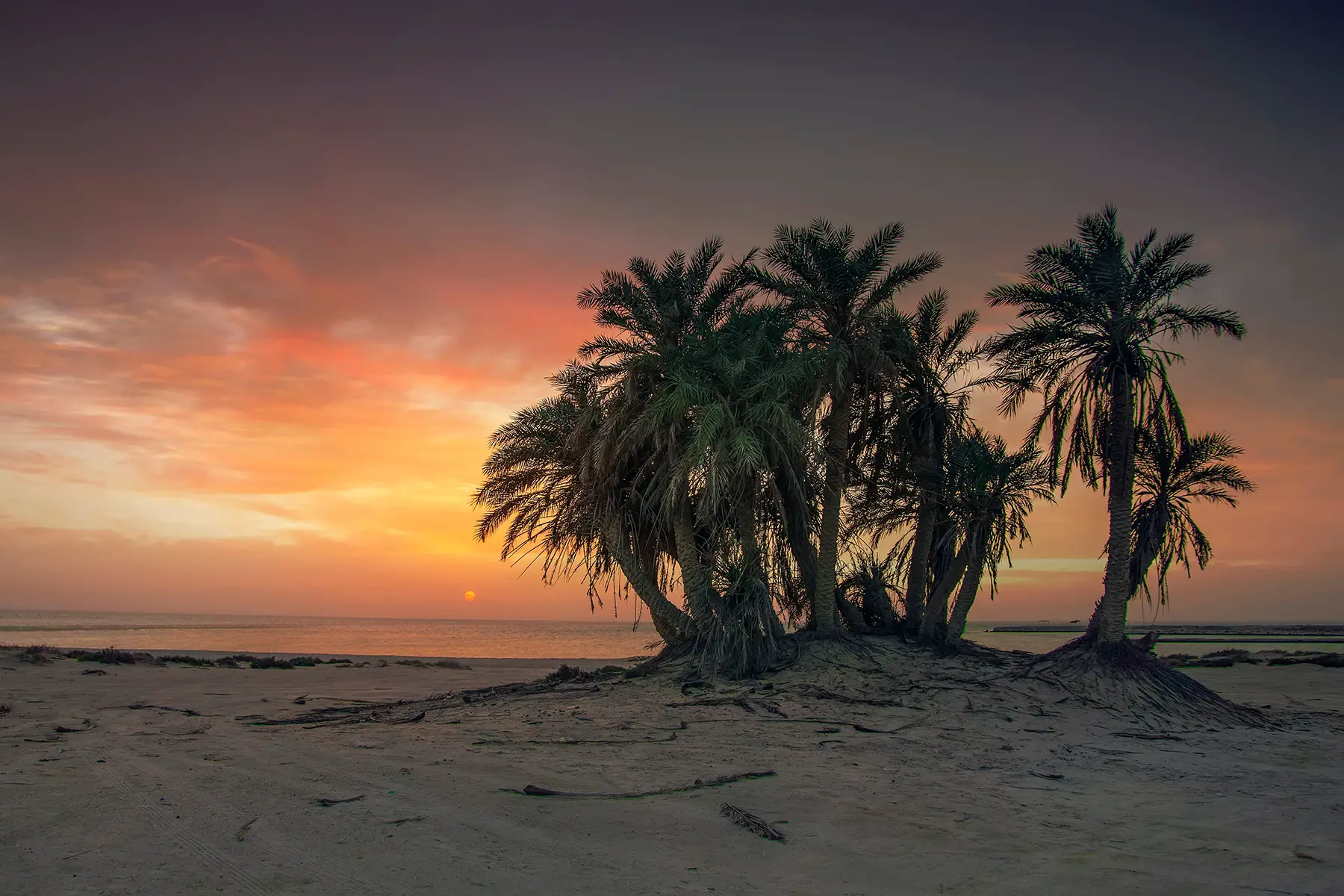 Sunset on a beach in Umbaab, Qatar