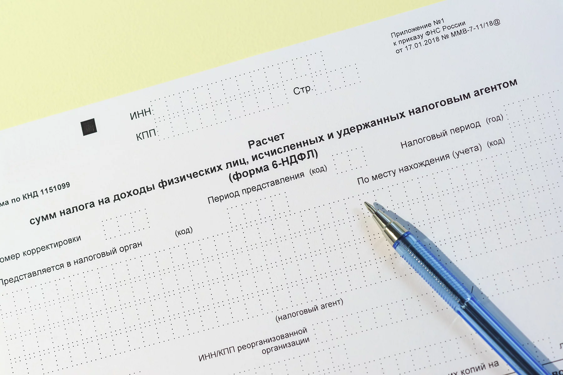 Russian income tax form