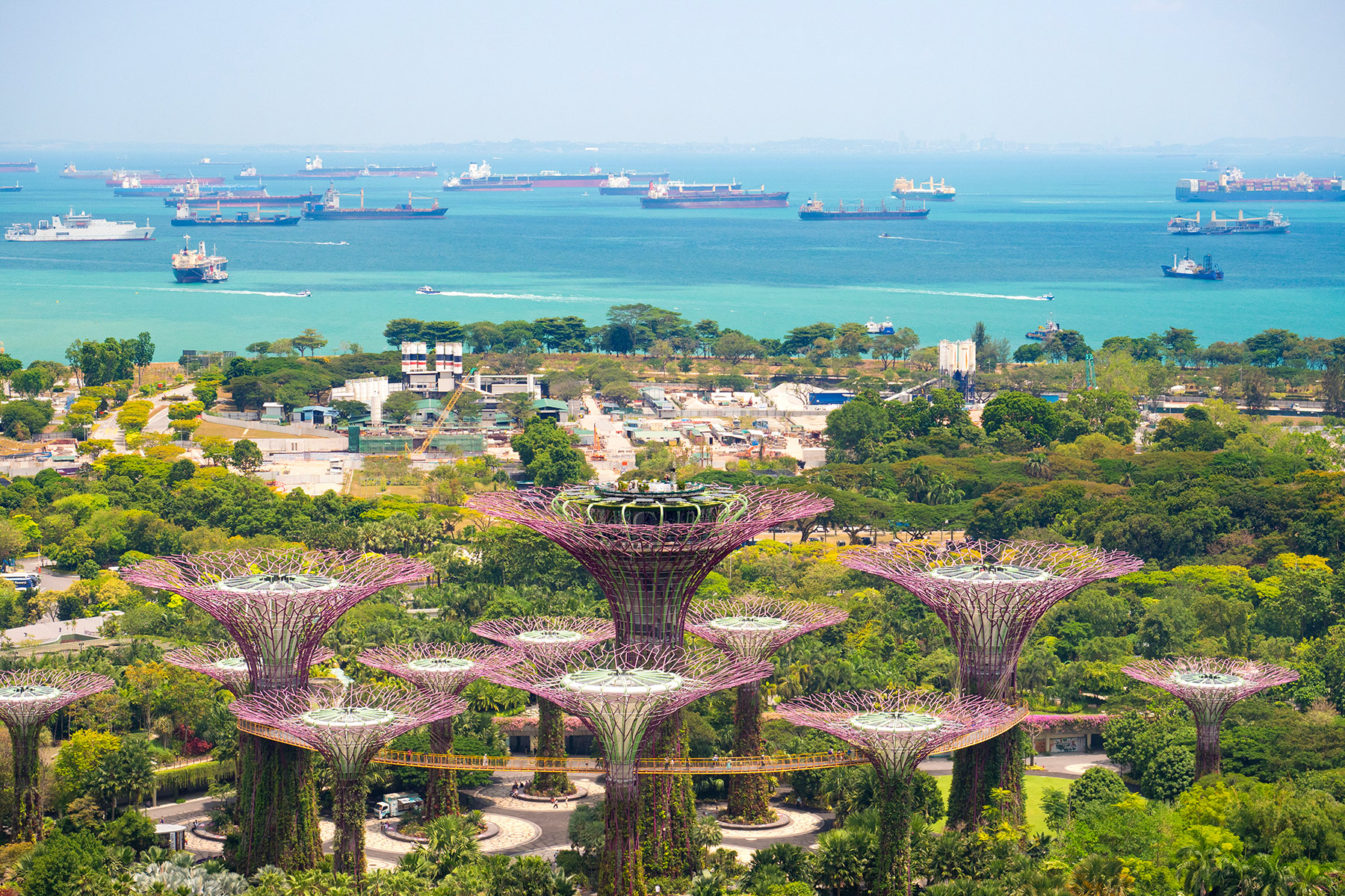 Ships in the distance, view from above of Gardens by the Bay