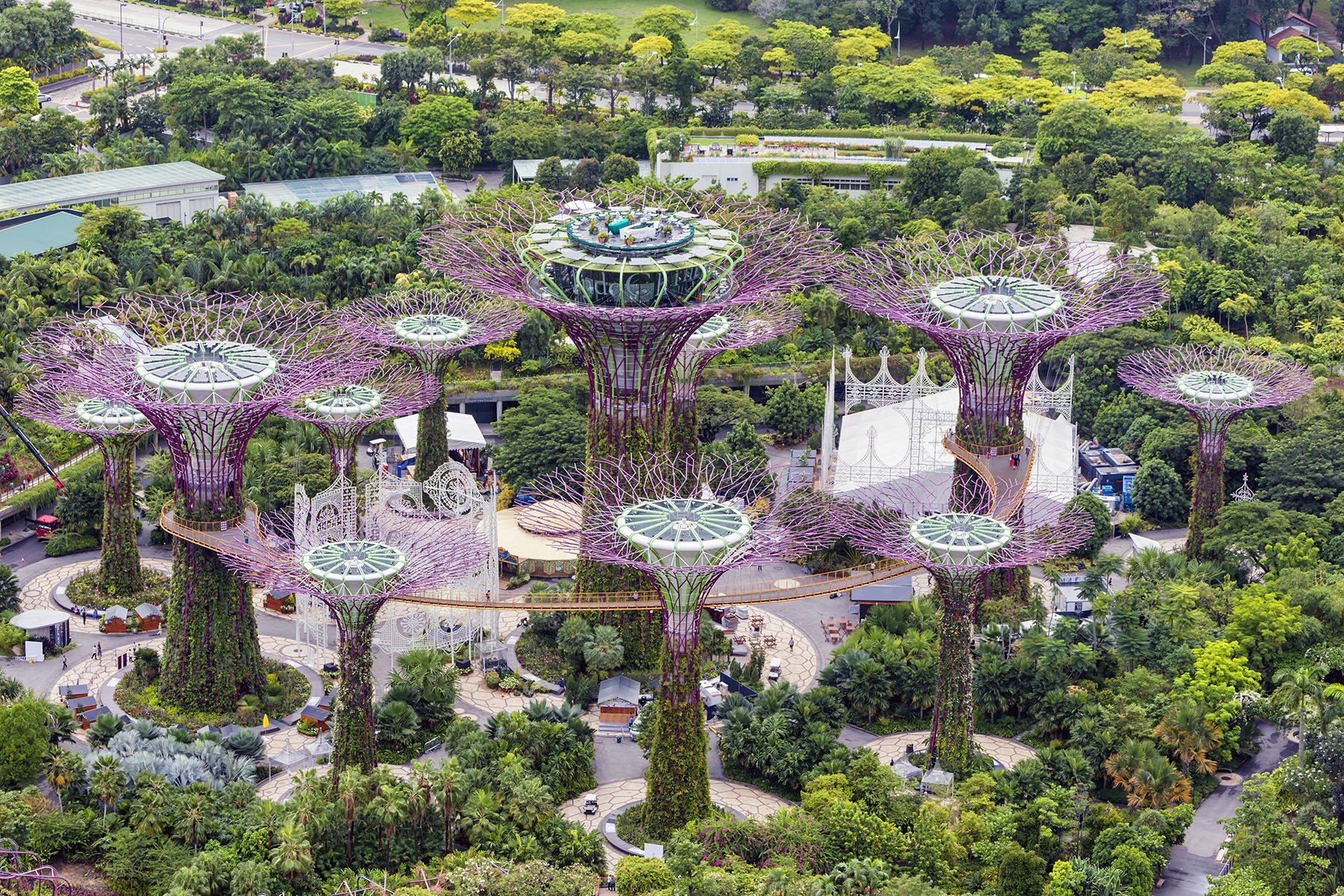 Aerial view of the Supertree Grove in the Gardens by the Bay.
