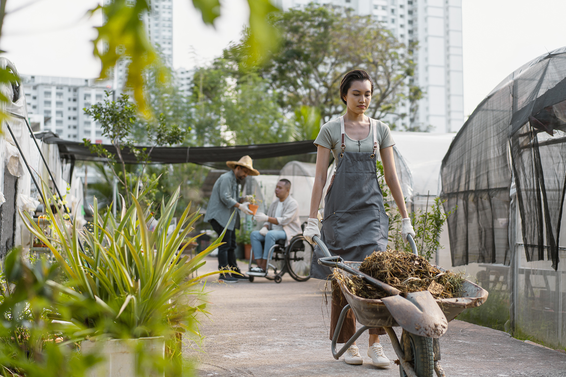 A woman pushes a wheelbarrow filled with compost in an sustainable urban farm in Singapore. in the background another gardener wearing a straw hat chats to another person who uses a wheelchair