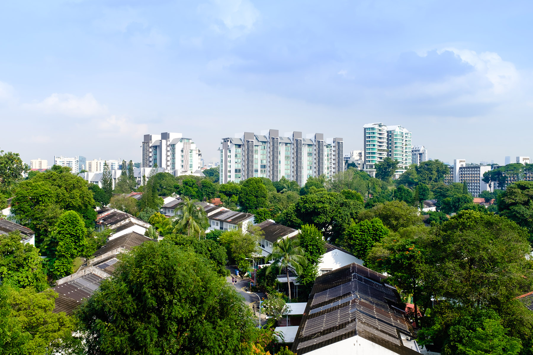 Aerial view of houses between lush greenery and high rise apartments on the horizon in Singapore