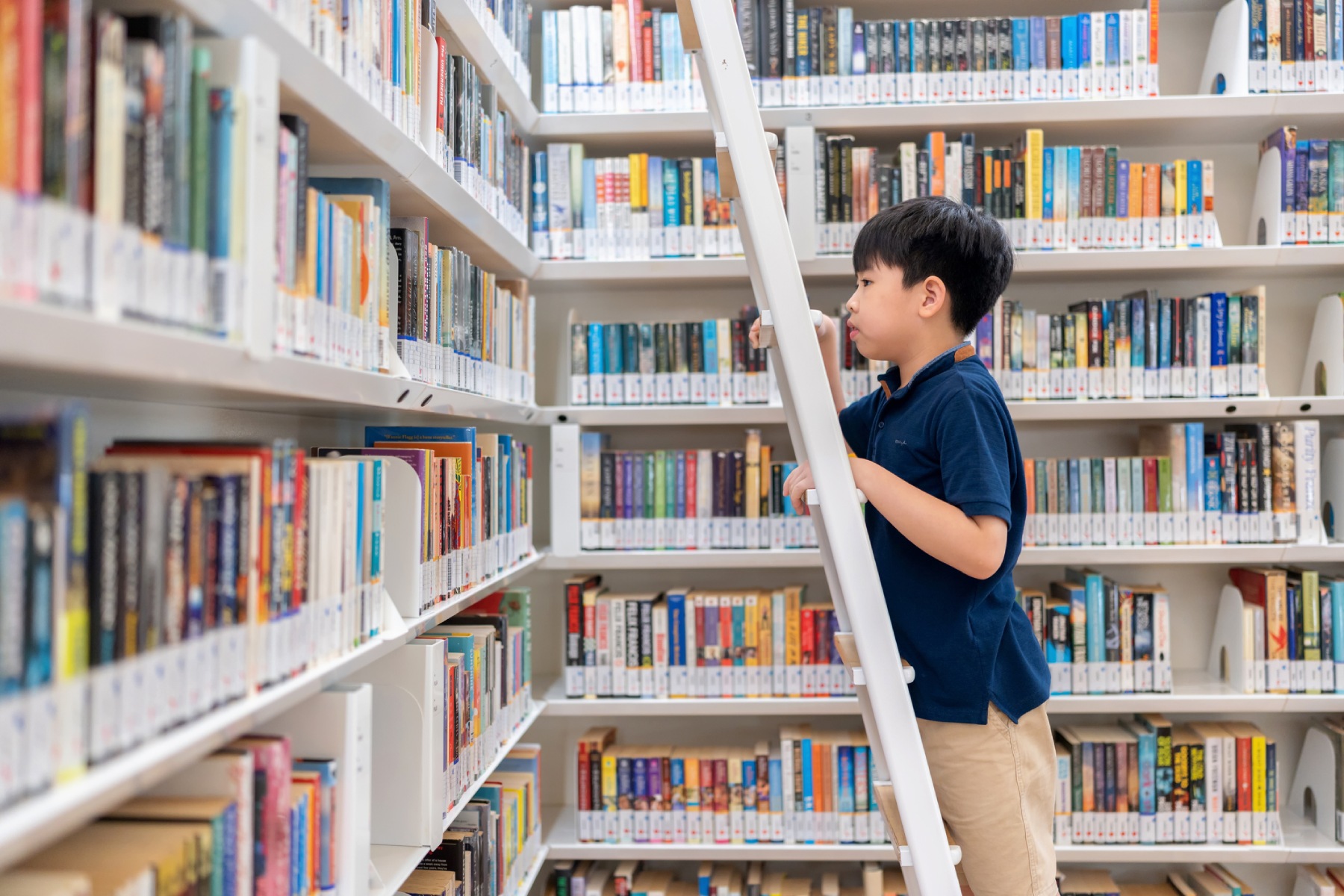 A young boy climbing a ladder to choose a book from a shelf in a school library.