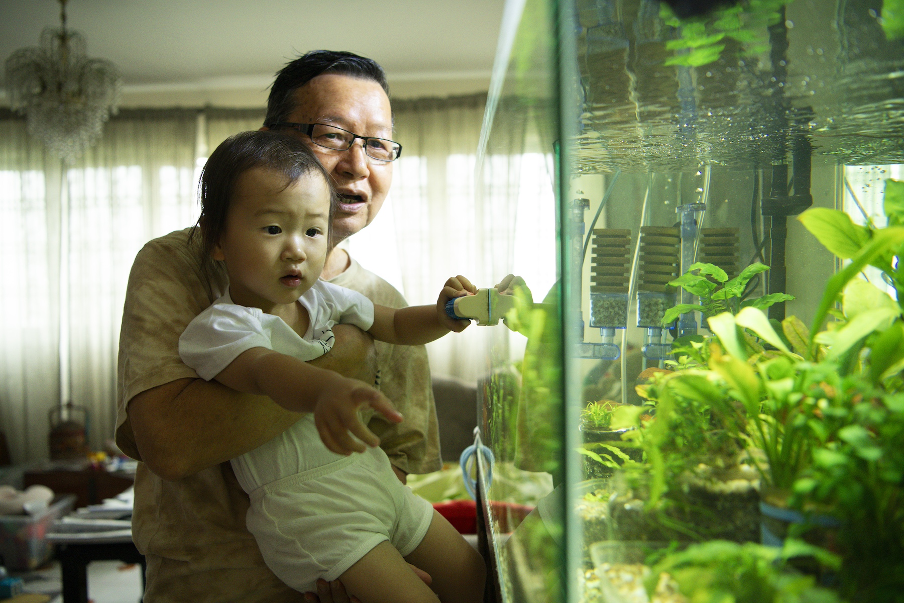 A grandfather holds his young granddaughter as they look at fish in a fish tank