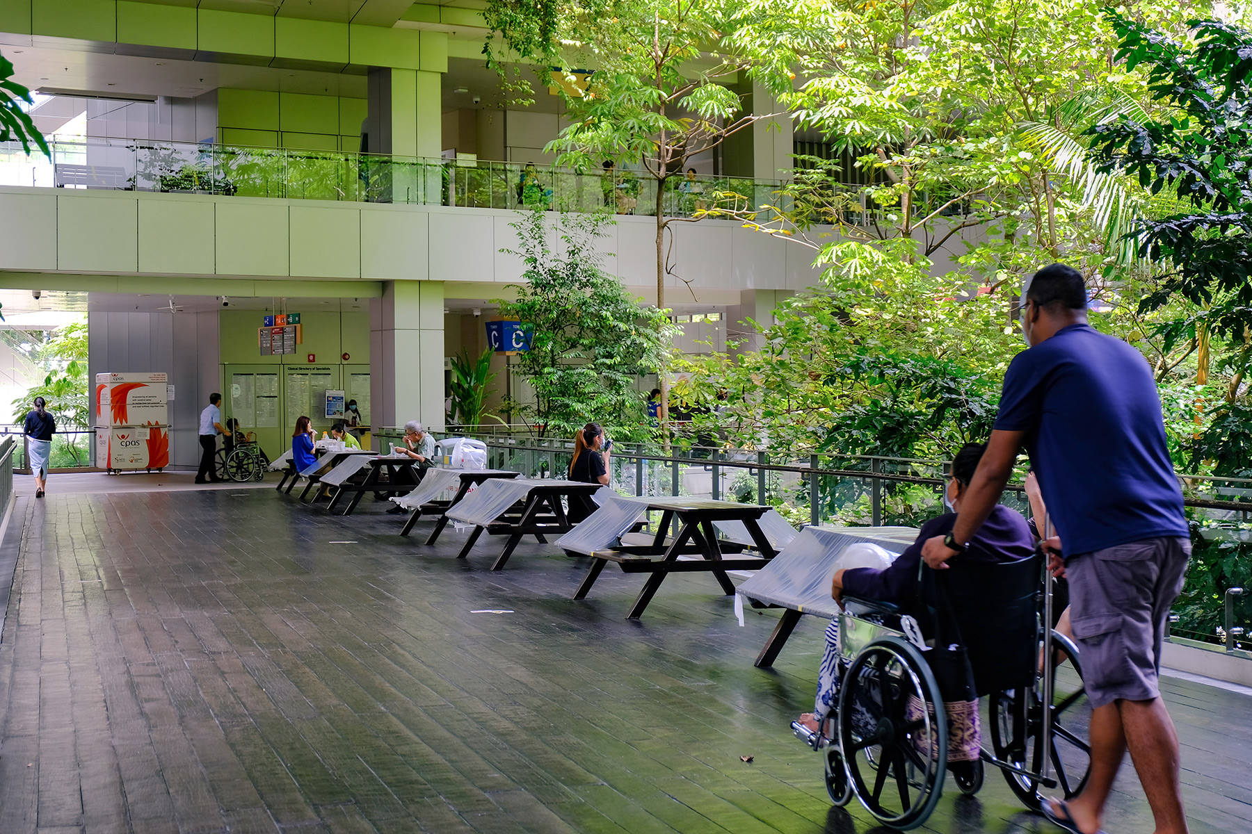 Someone pushing a patient in a wheelchair in a leafy hospital corridor
