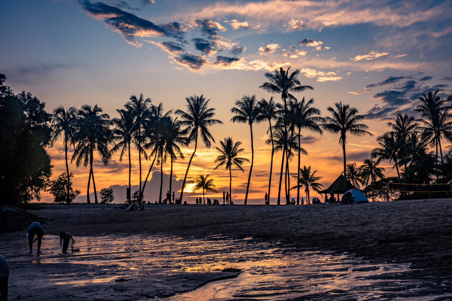 A beach with palm trees at sunset