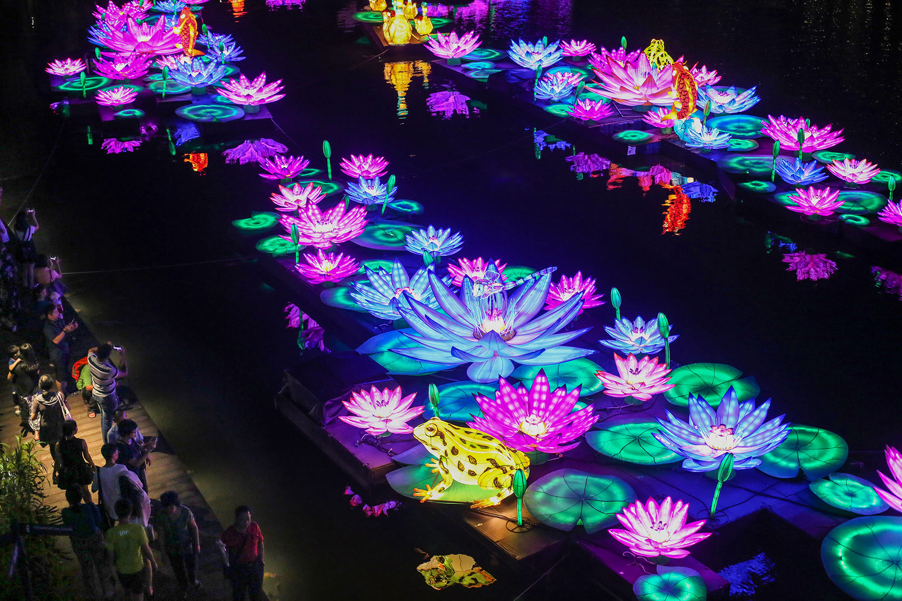 Visitors take pictures of outer-worldly light displays of lotus flowers and frogs during the 2017 Mid-Autumn Festival in Singapore. 