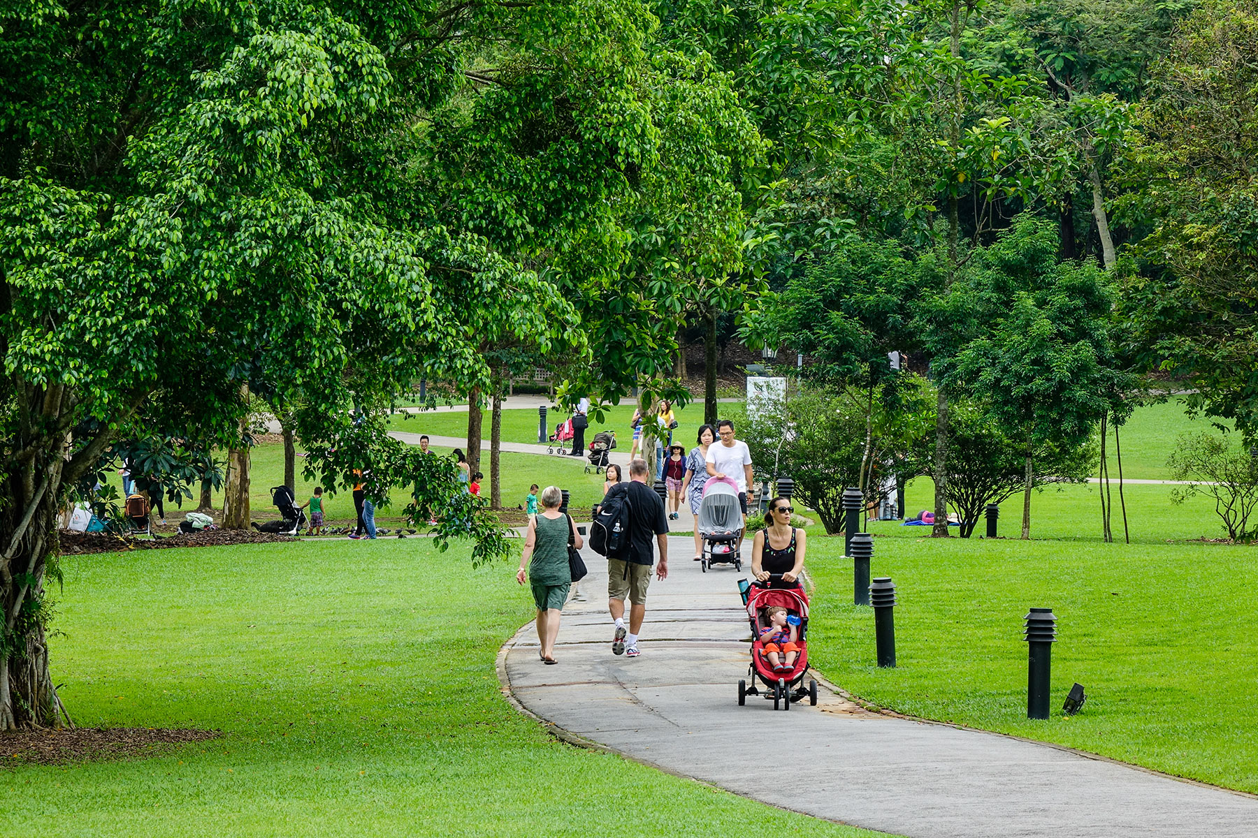 People strolling in Singapore's Botanic Gardens