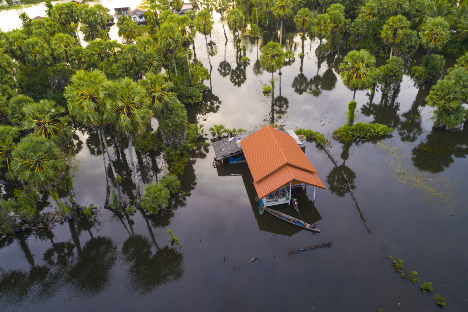 aerial view of a flooded area, filled with trees, a house, and (of course) lots of water.