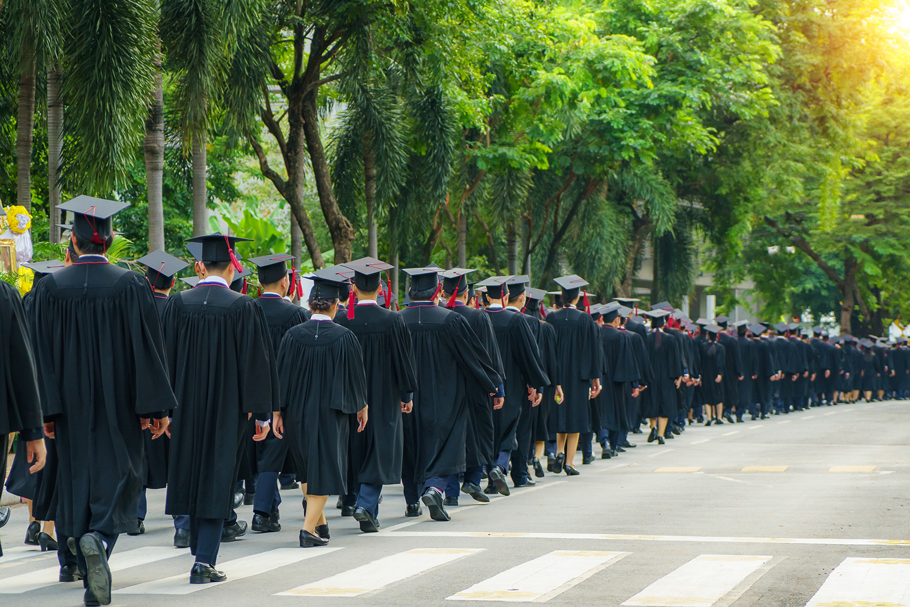 Graduates in caps and gowns walk down the street away from camera