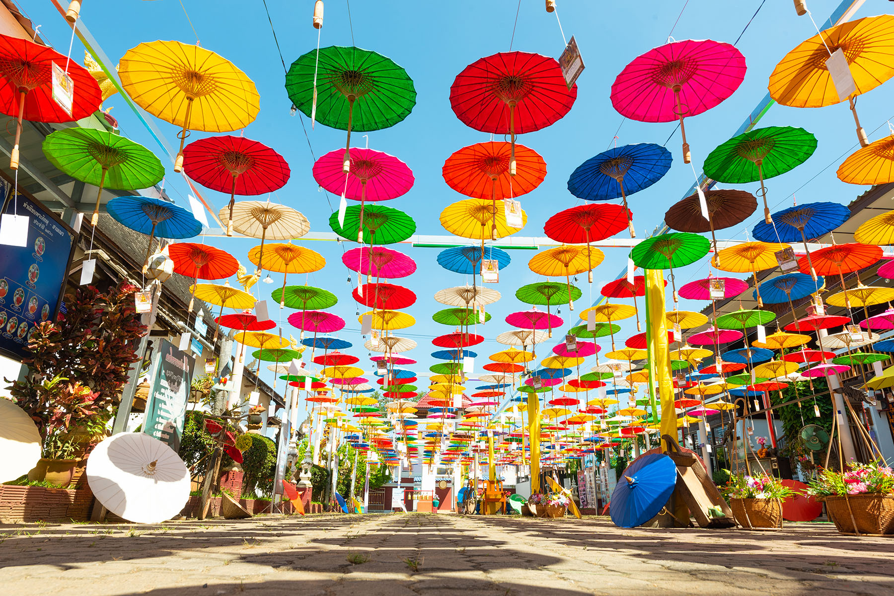 Colorful paper handmade umbrellas hanging upside down across the street at Wat Tha Luk, Chiangmai, Thailand
