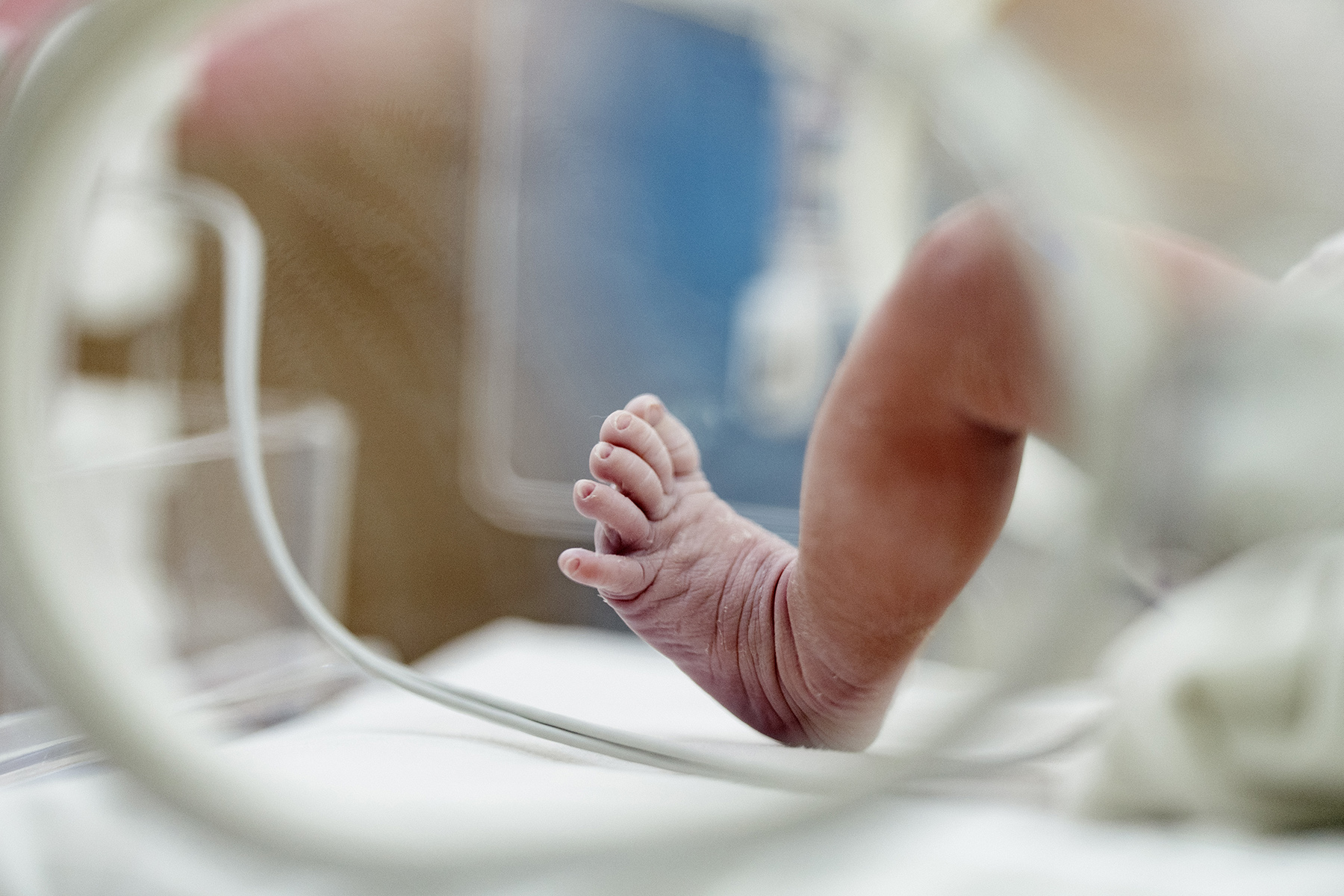 Close up of newborn's foot in hospital incubator