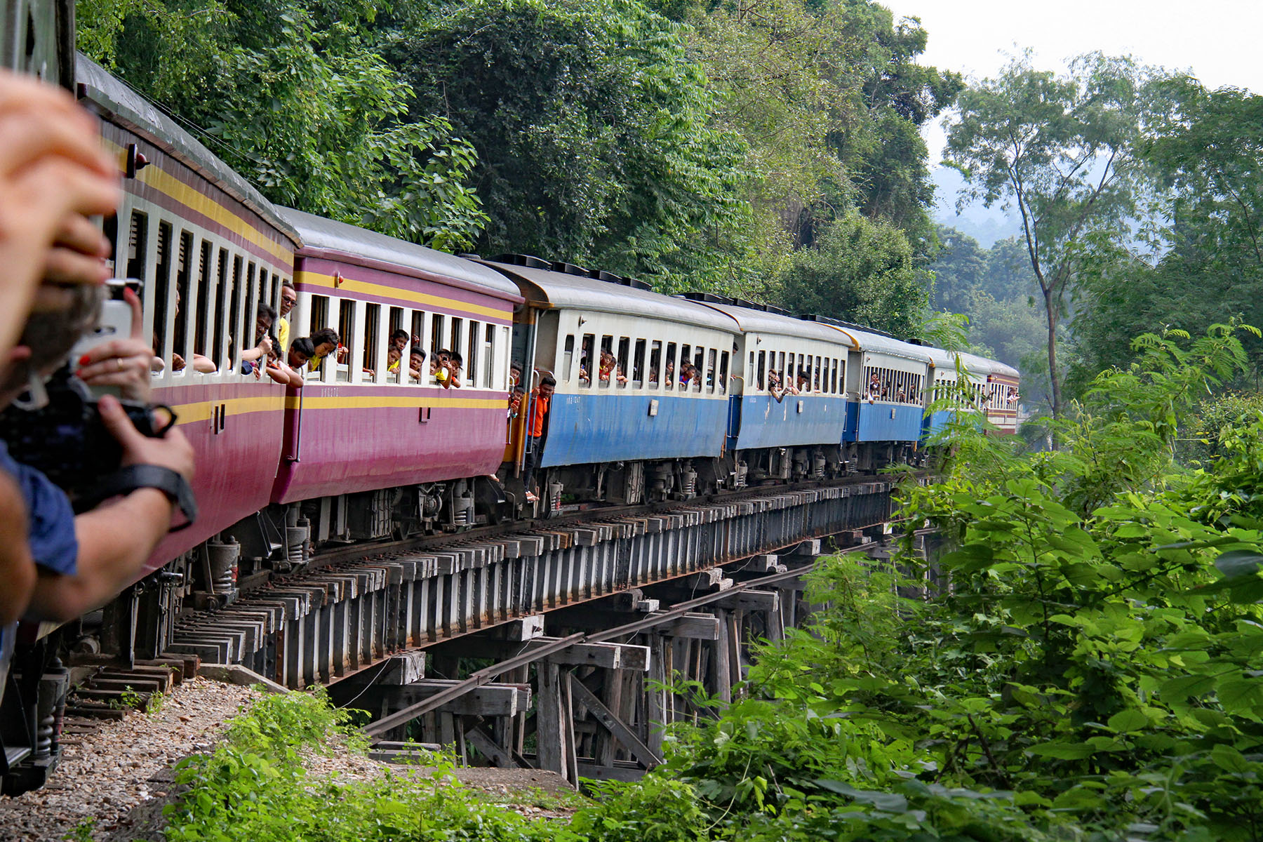 People sticking their heads out of the open windows of a train, as it is driving on a bridge surrounded by trees.