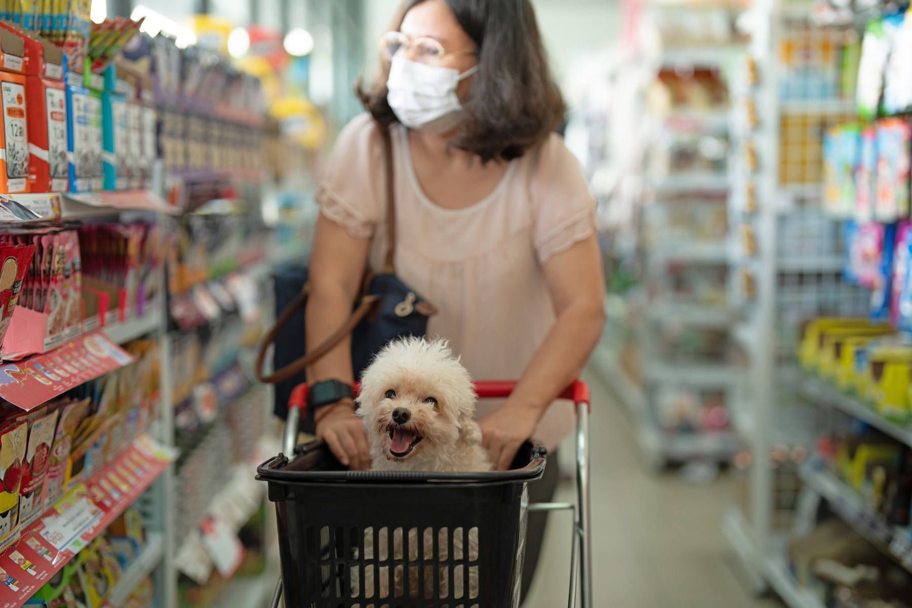 A woman pushes her happy dog in a shopping cart down the aisle of a pet store