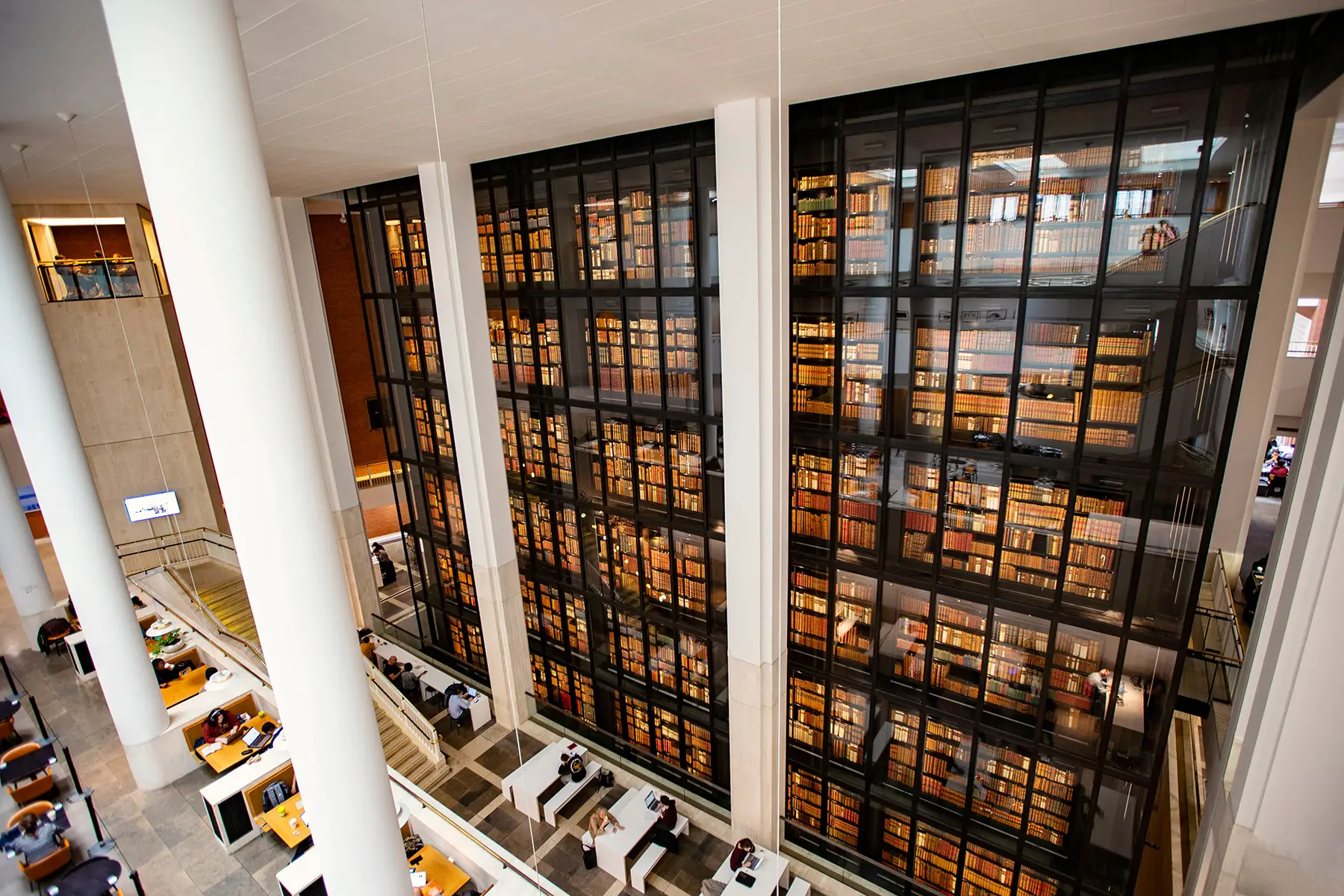 People working in front of bookshelves in the British Library