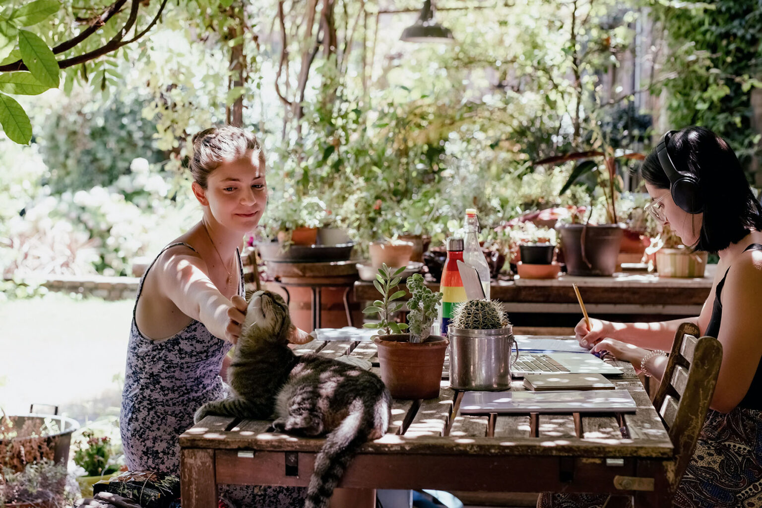 Two women sitting in the garden at a table, working in the shade on a sunny day. One is petting a cat on the table.