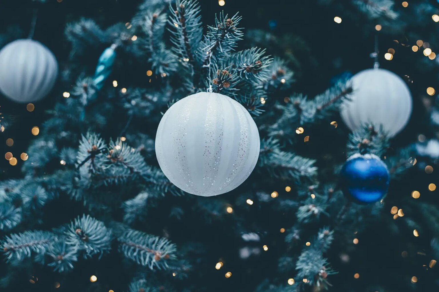 History of Christmas trees