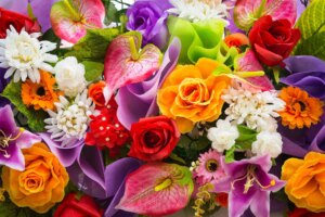 The meaning of flowers around the world