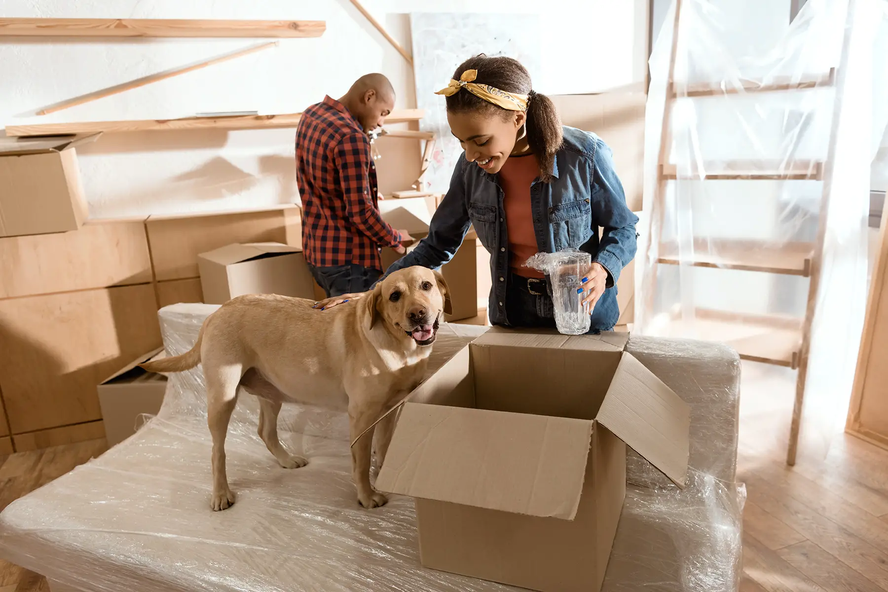 Moving out checklist: pets