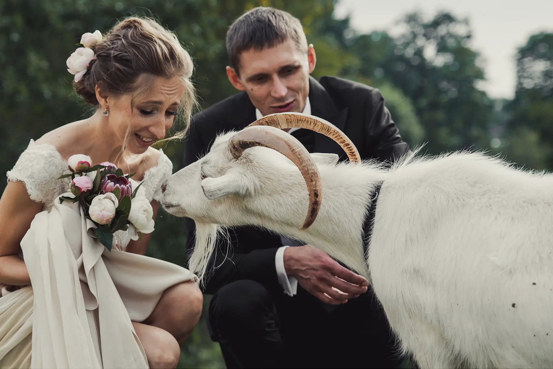 Married couple at a wedding with a goat