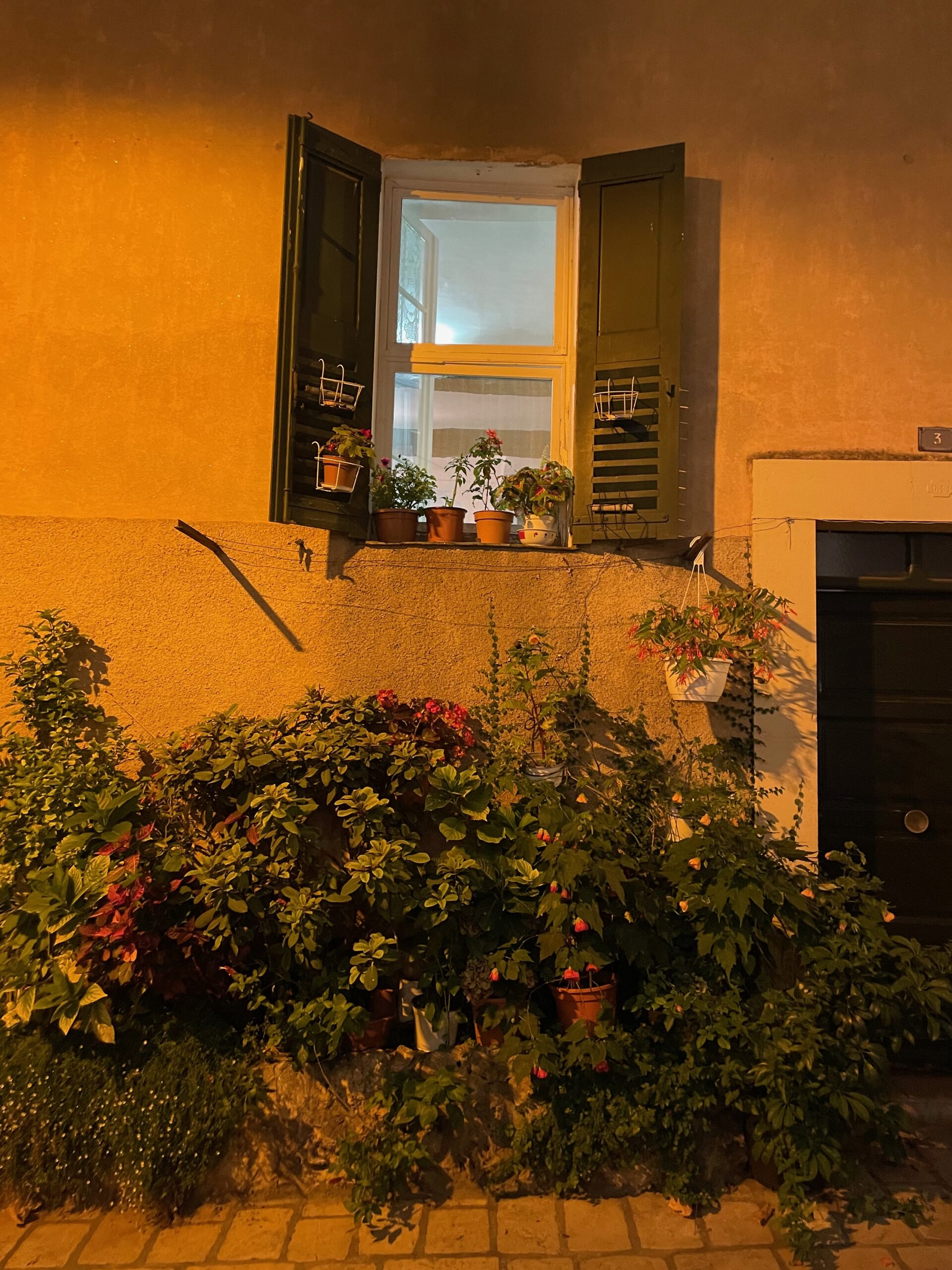 From the Vistula to the Vieux Port: A Polish Medical Journey to the South of France