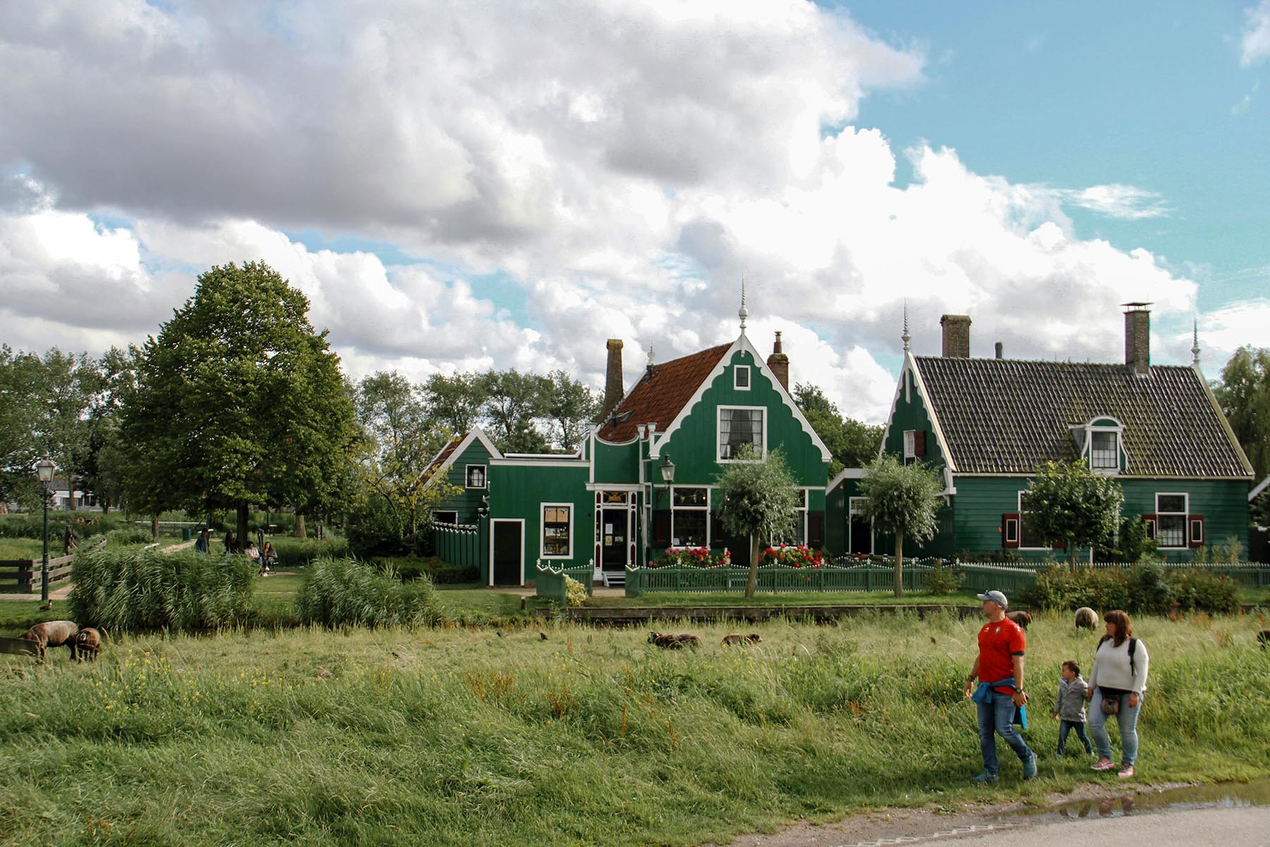 Family walking past the green houses in Zaandam, the Netherlands.
