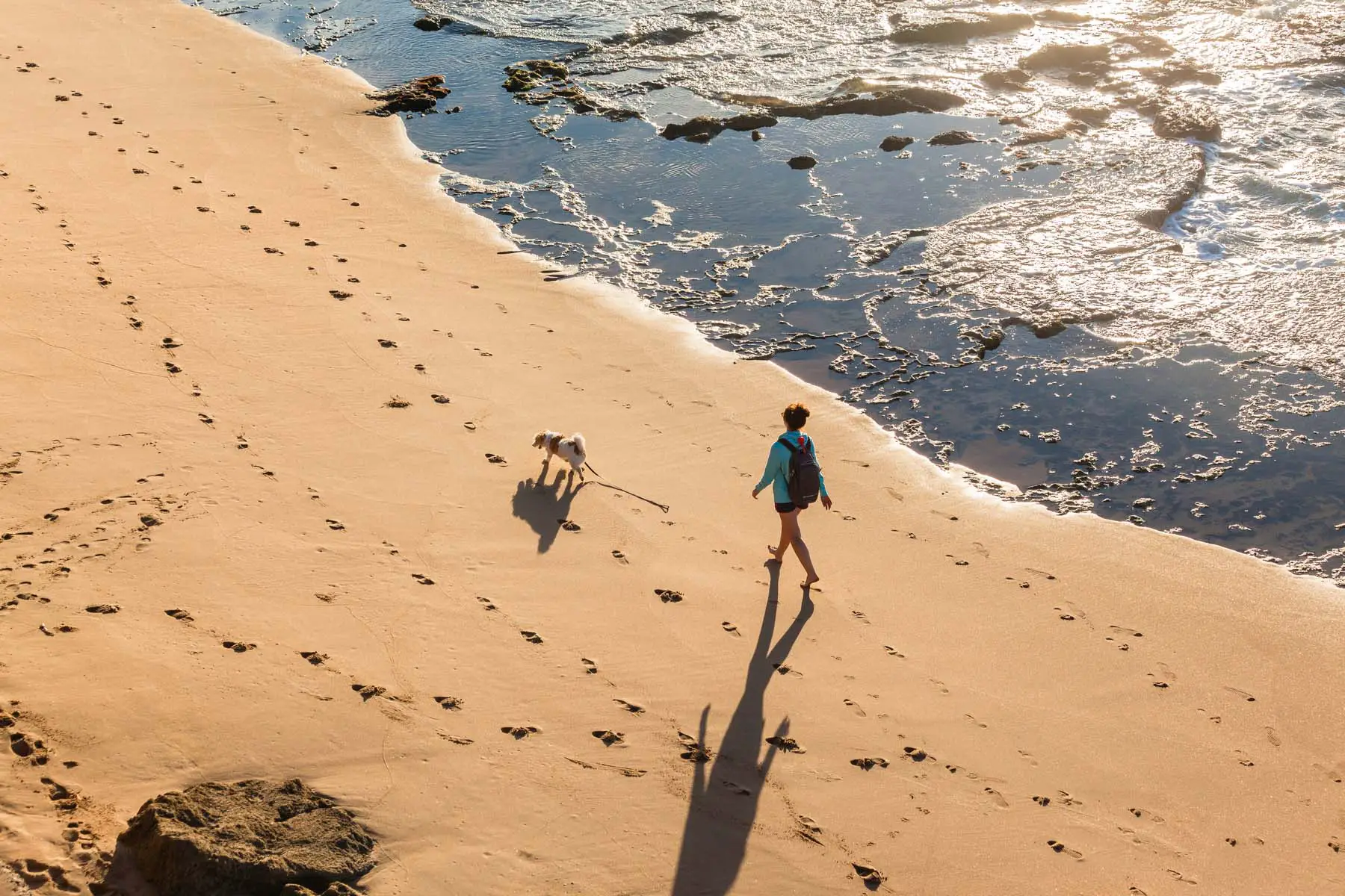 woman walking dog on deserted beach