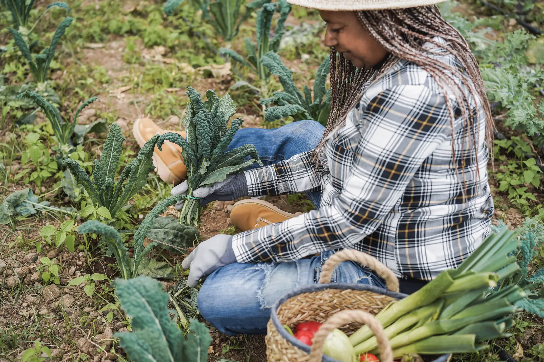 woman farming in South Africa
