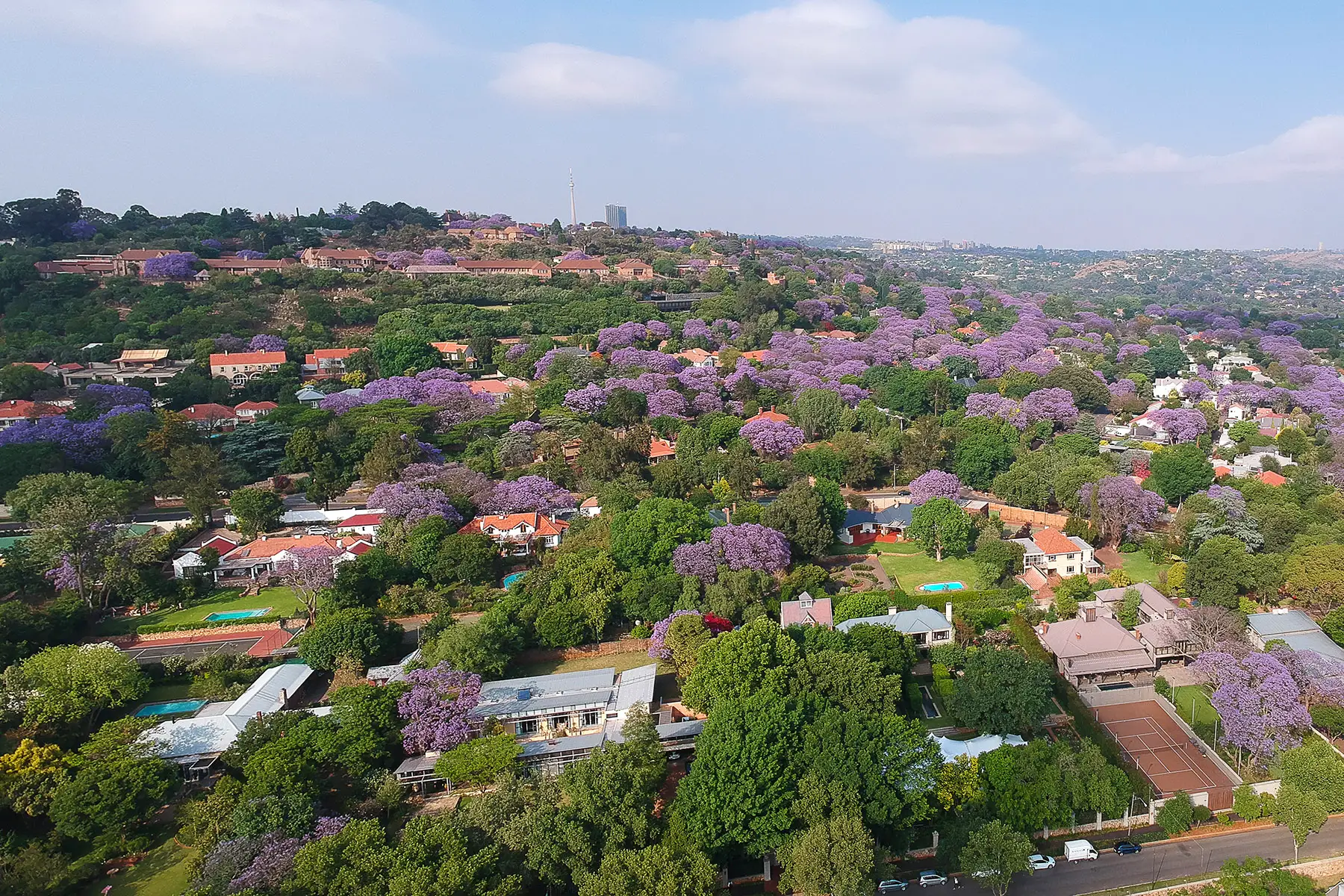 living in Westcliff, Johannesburg