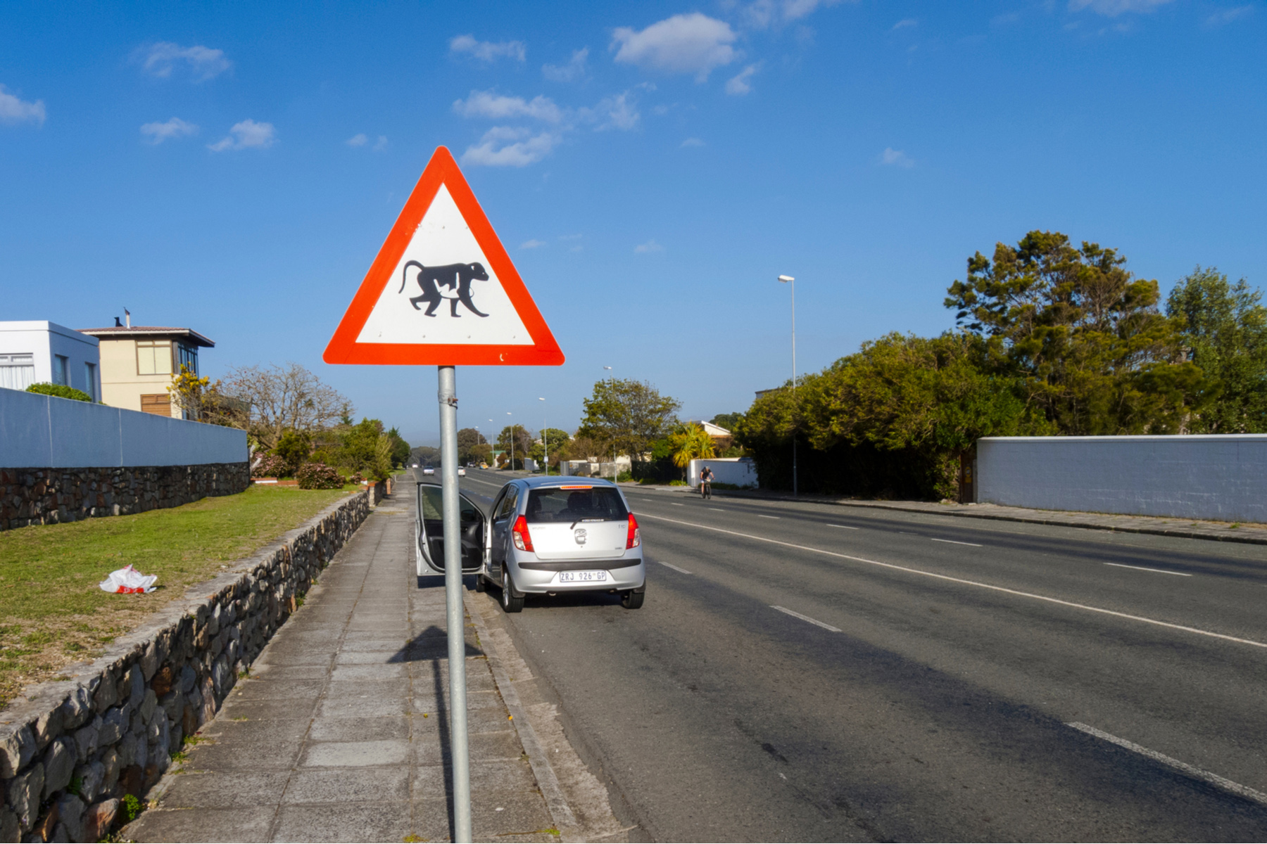 Road sign of baboon crossing road in Hermanus, South Africa